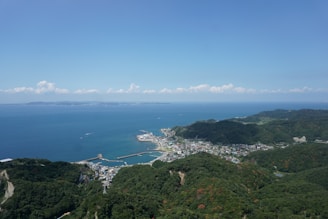a view of the ocean from a hill