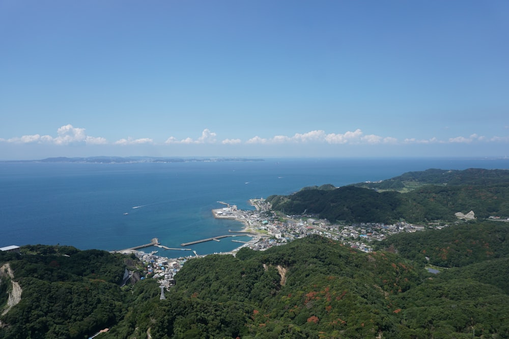 a view of the ocean from a hill