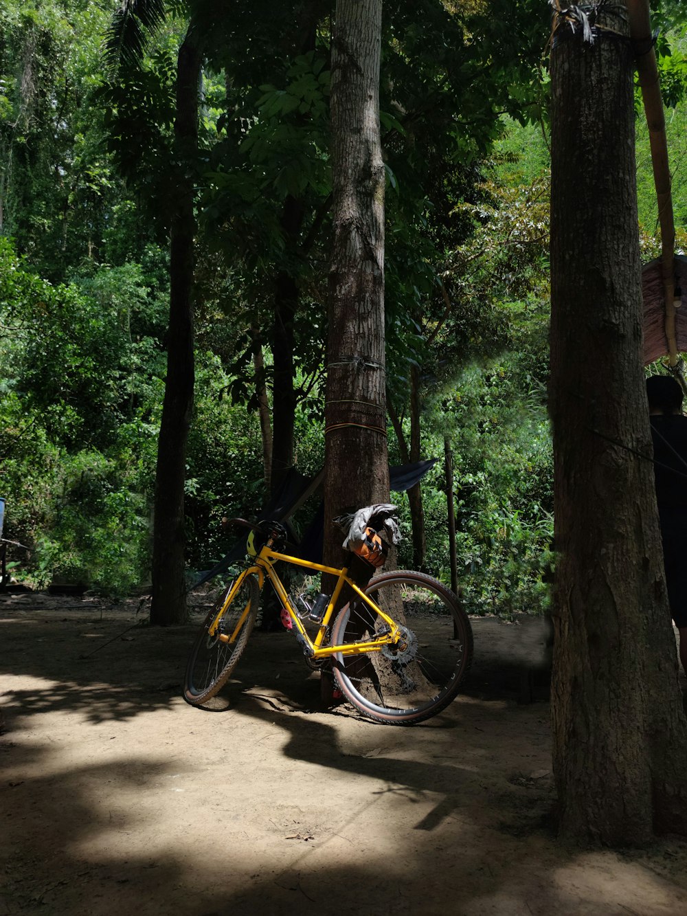 uma bicicleta amarela estacionada ao lado de uma árvore em uma floresta