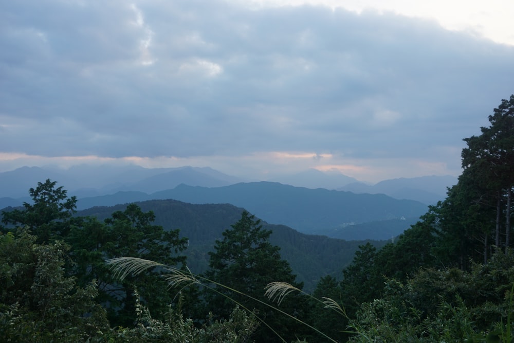 a view of a mountain range with trees in the foreground