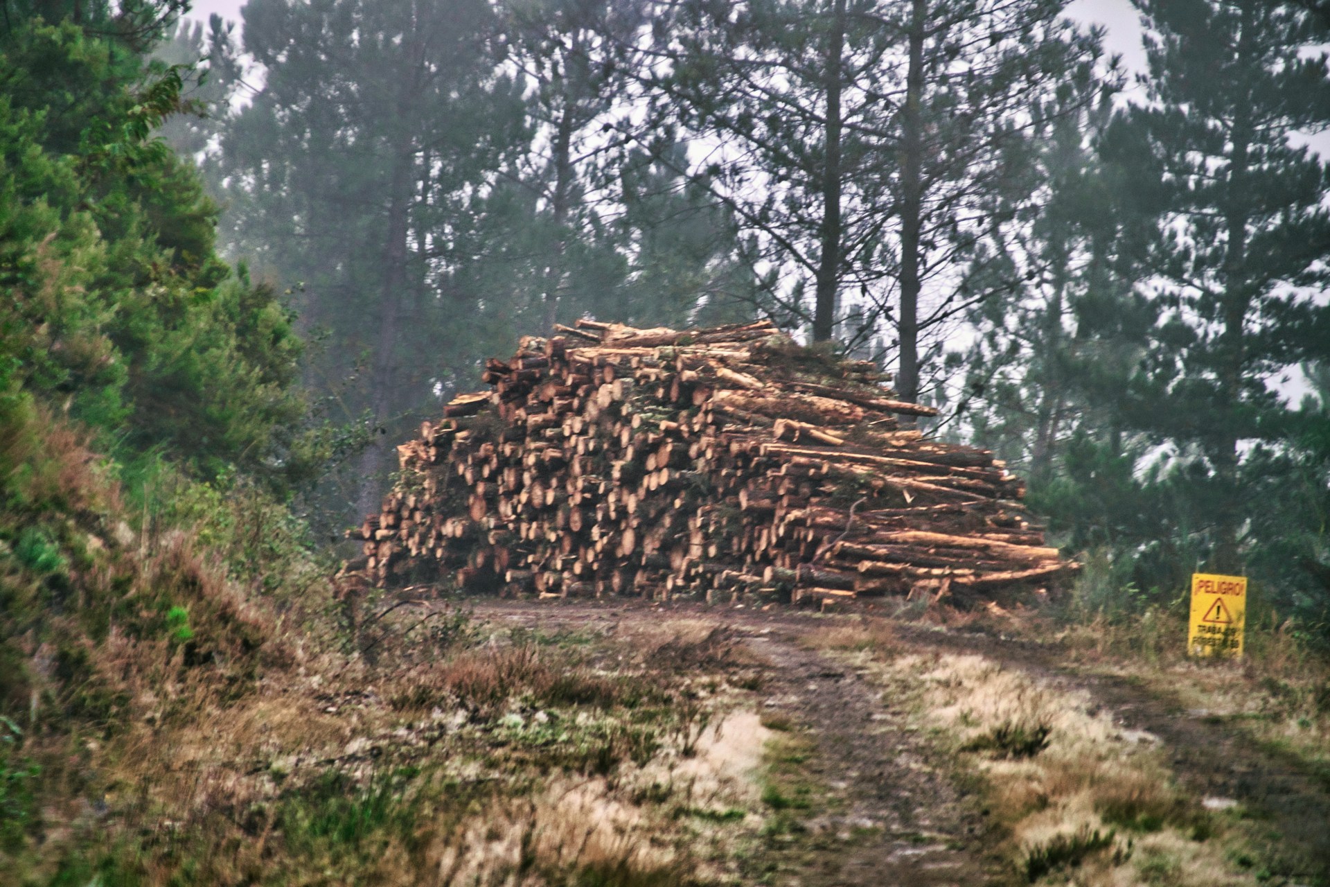 a pile of logs sitting on top of a dirt road