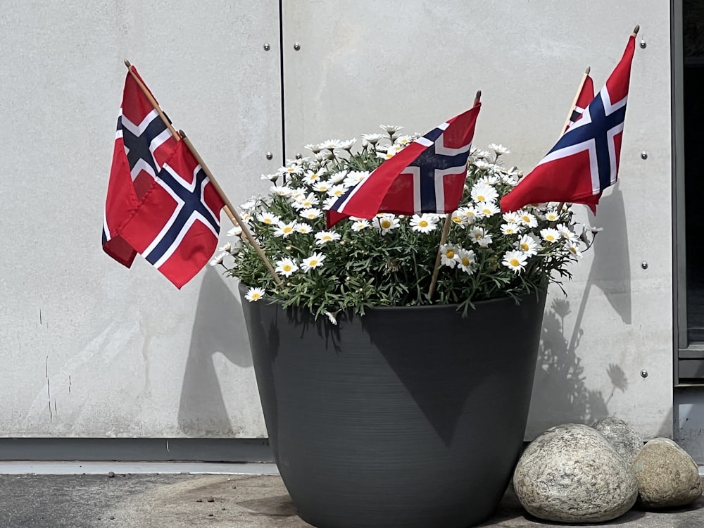 a potted plant with daisies and flags in it