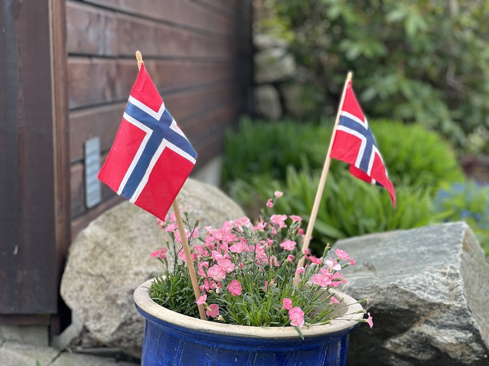 a potted plant with two flags on it