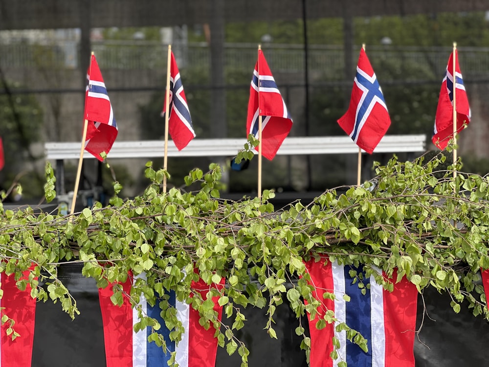 a bunch of flags that are on a pole