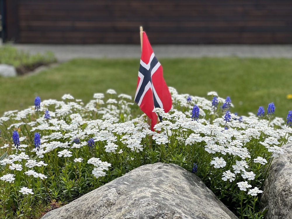 a flag and a flag pole in a field of flowers