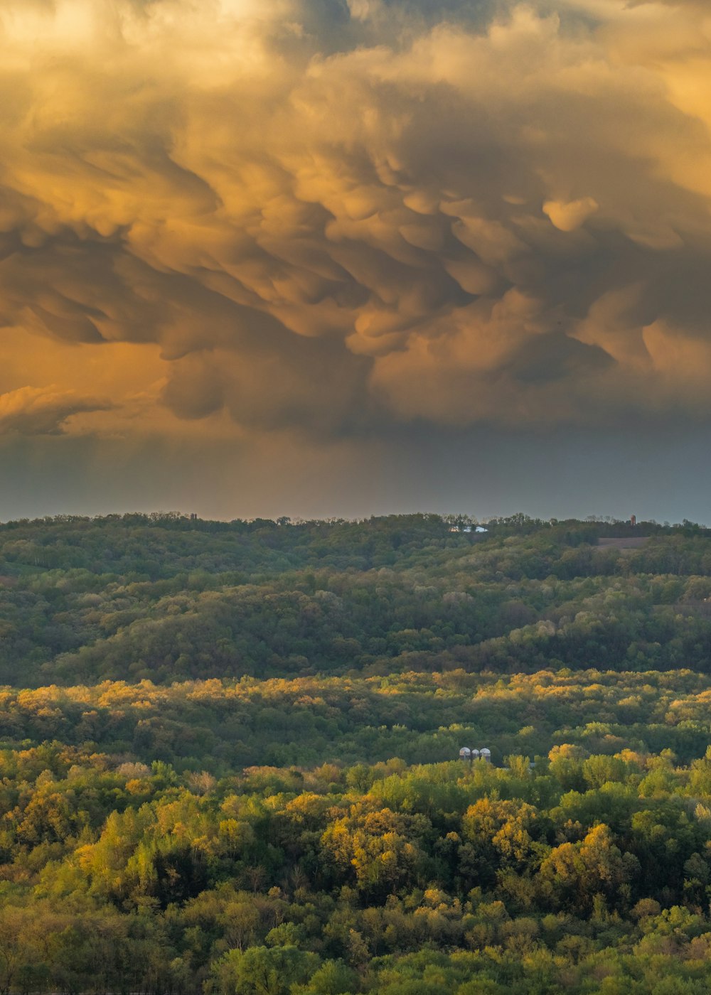 a view of a forest with a lot of clouds in the sky