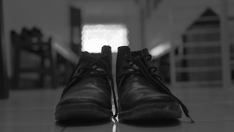 a black and white photo of a pair of shoes