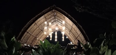 Close-up of intertwined bamboo and cane bundles forming a curved architectural structure bathed in soft natural light.