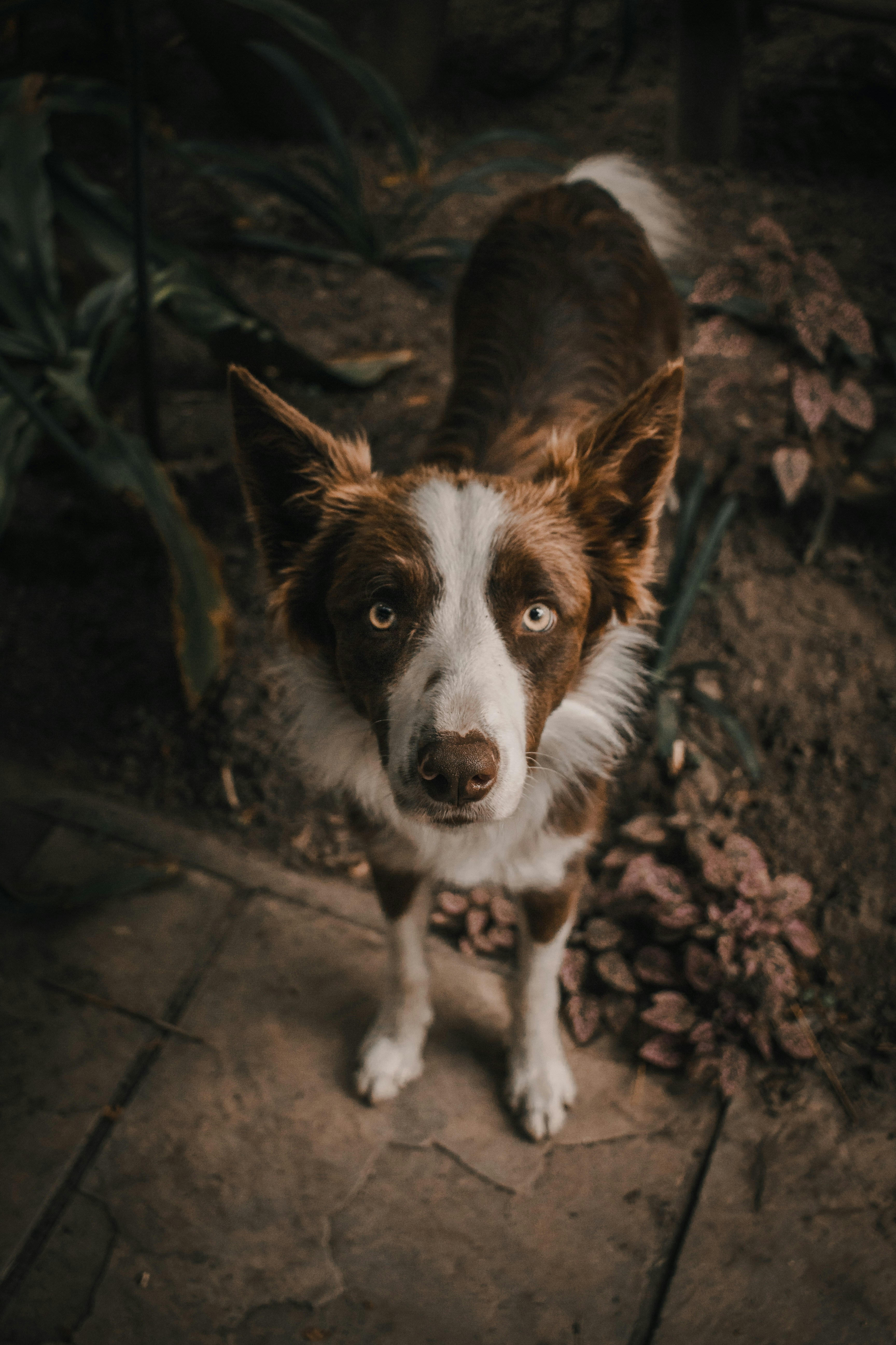 Photo by ashford_marx