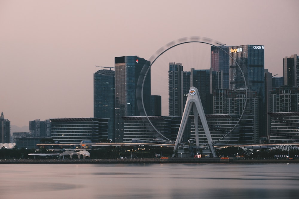 a ferris wheel in front of a city skyline