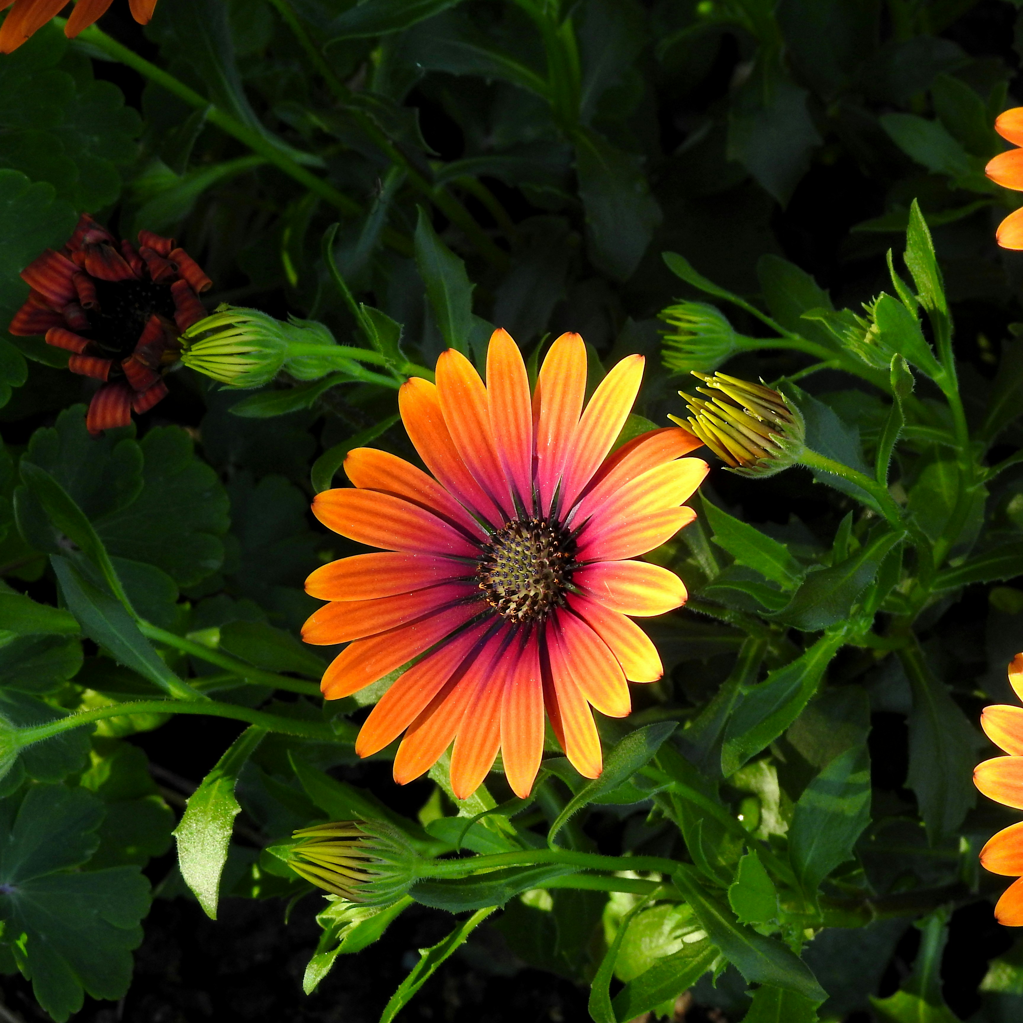 Photo by artemisdesign