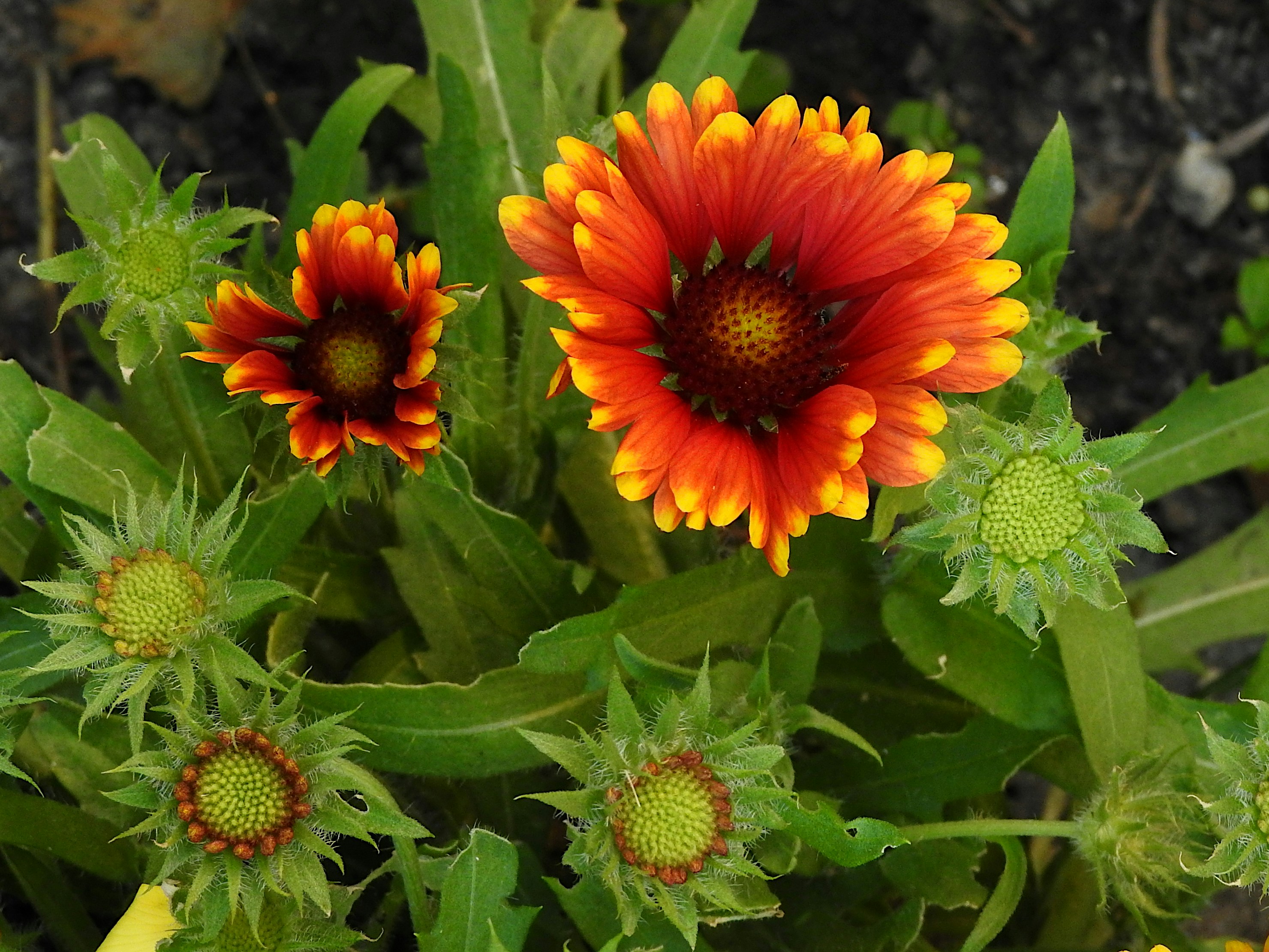 Photo by artemisdesign