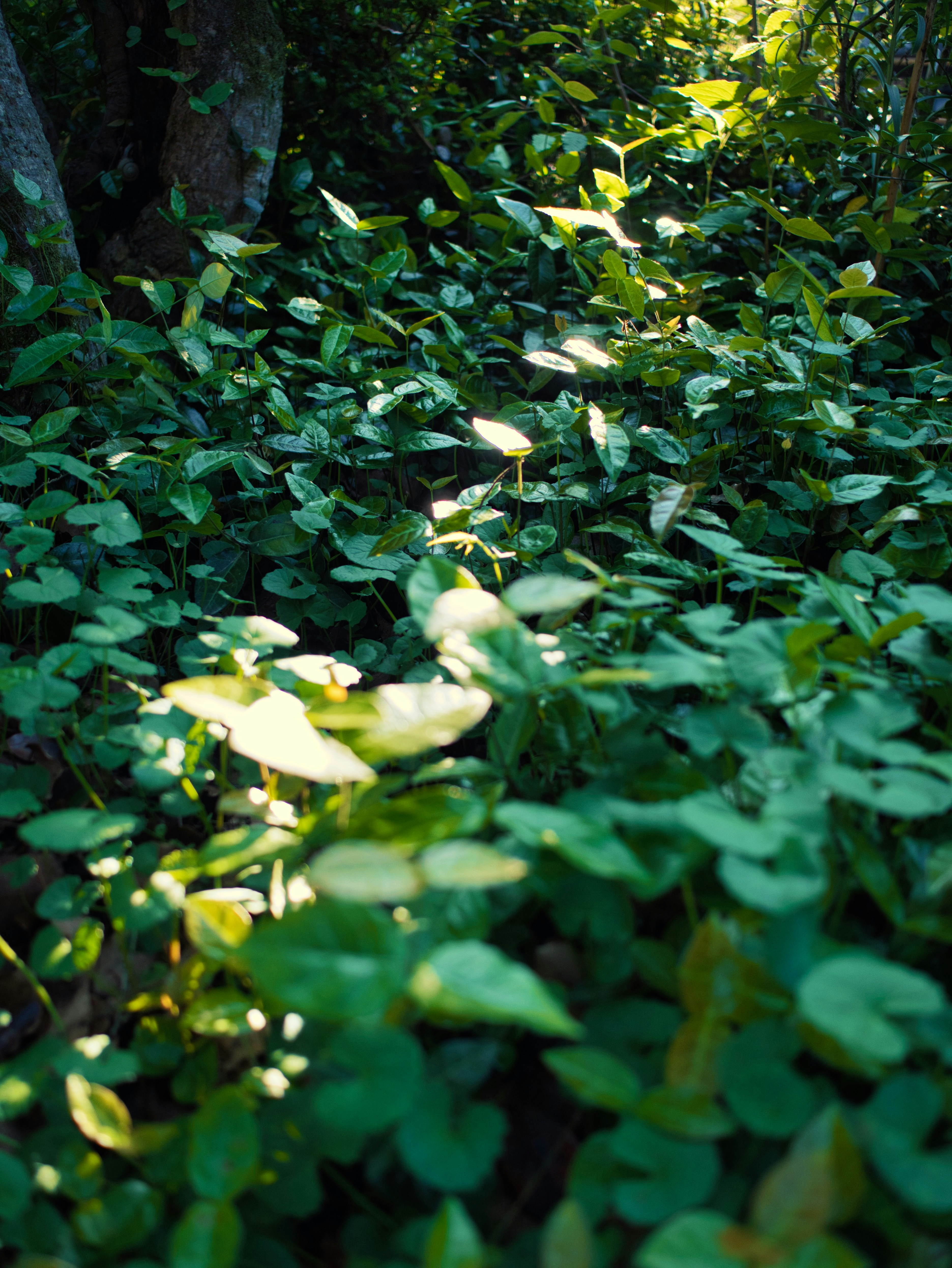 Photo by murakami1991