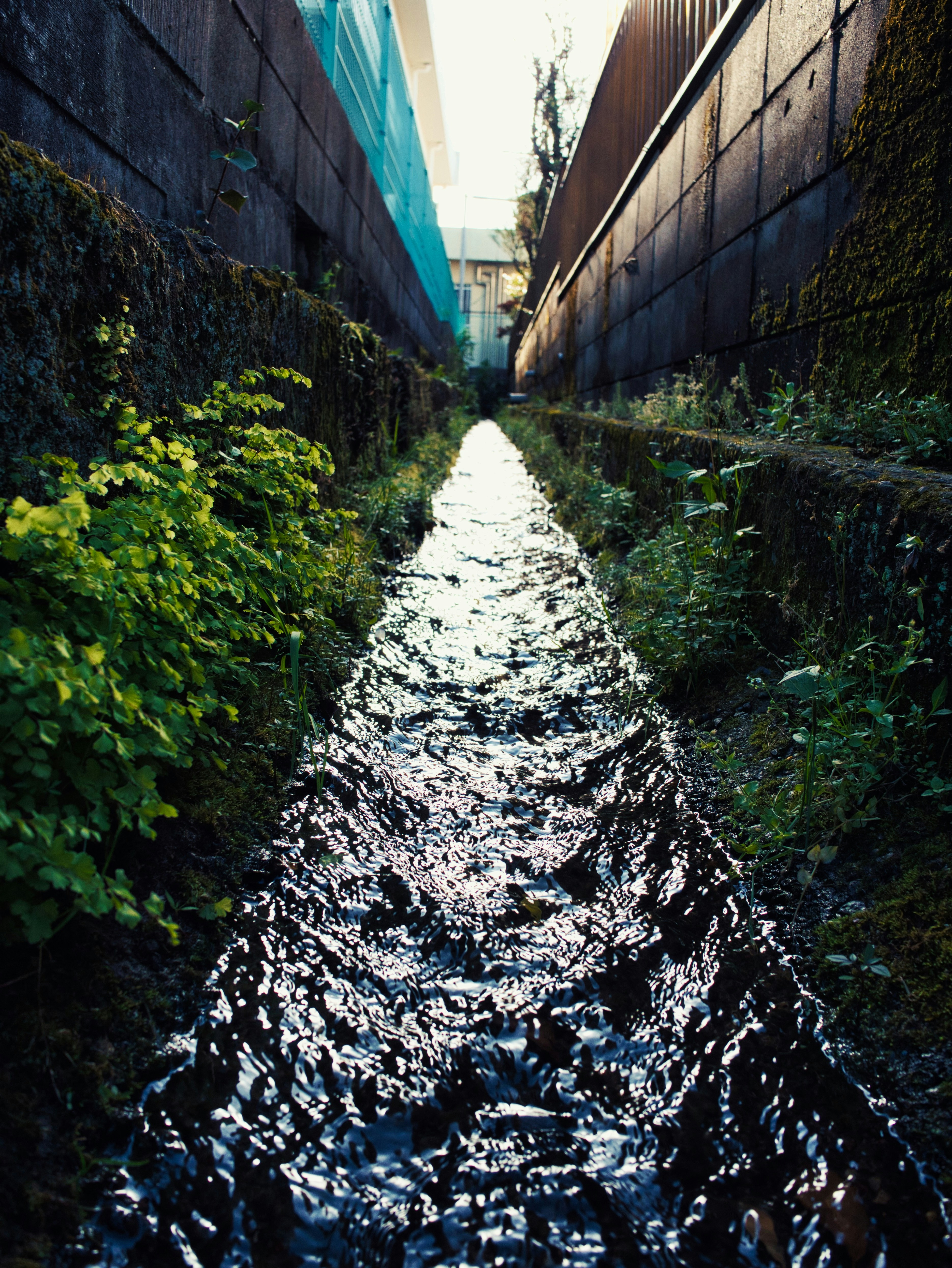 Photo by murakami1991