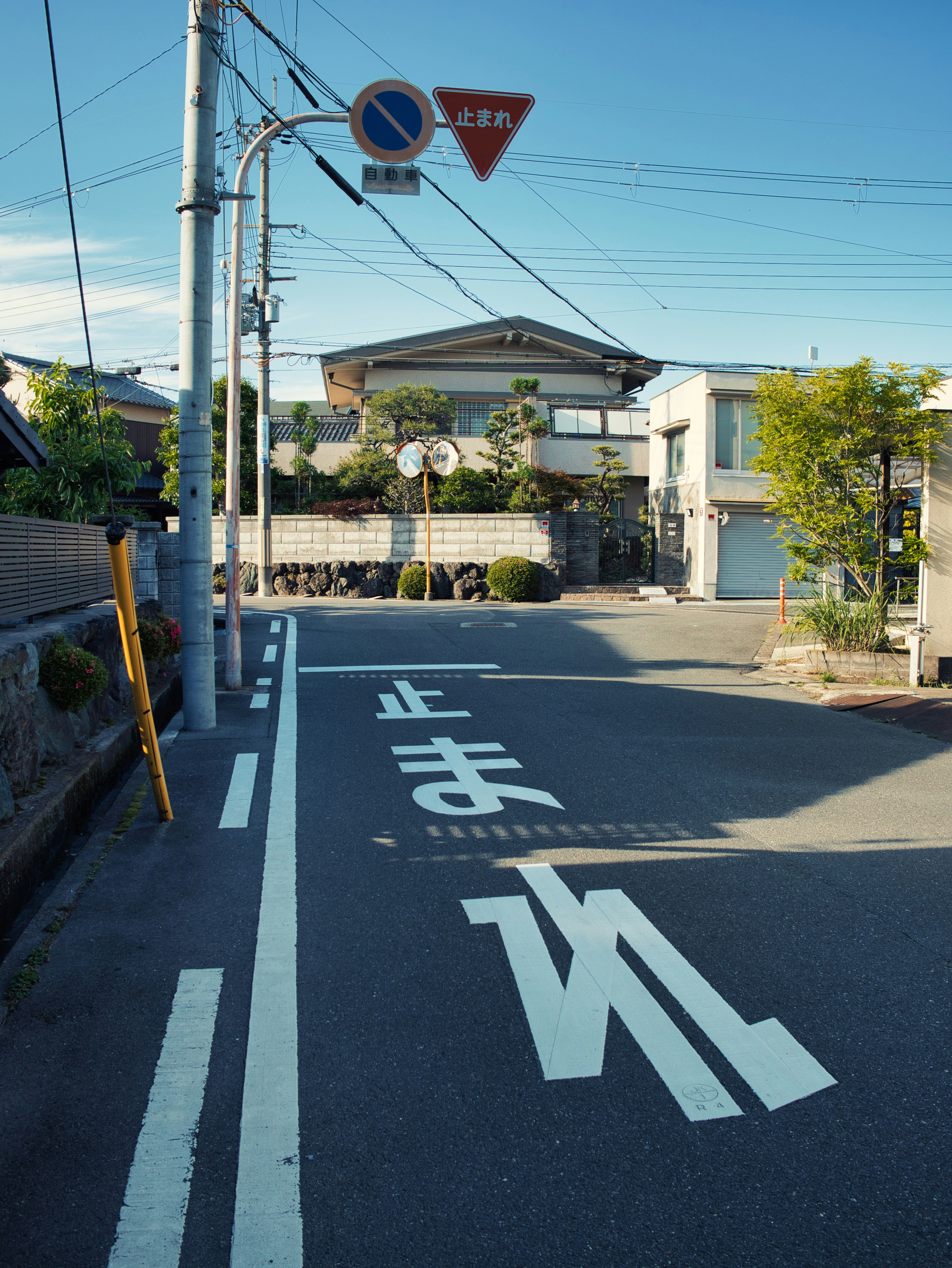 Photo by murakami1991