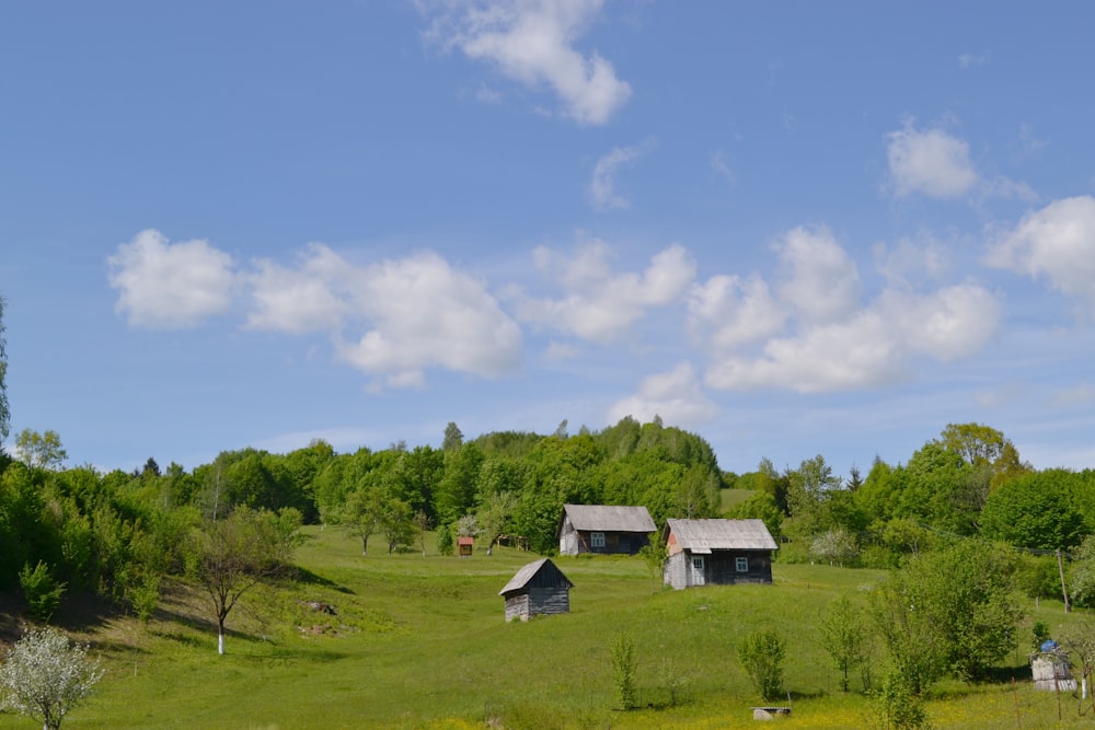 a grassy field with two small houses in the distance