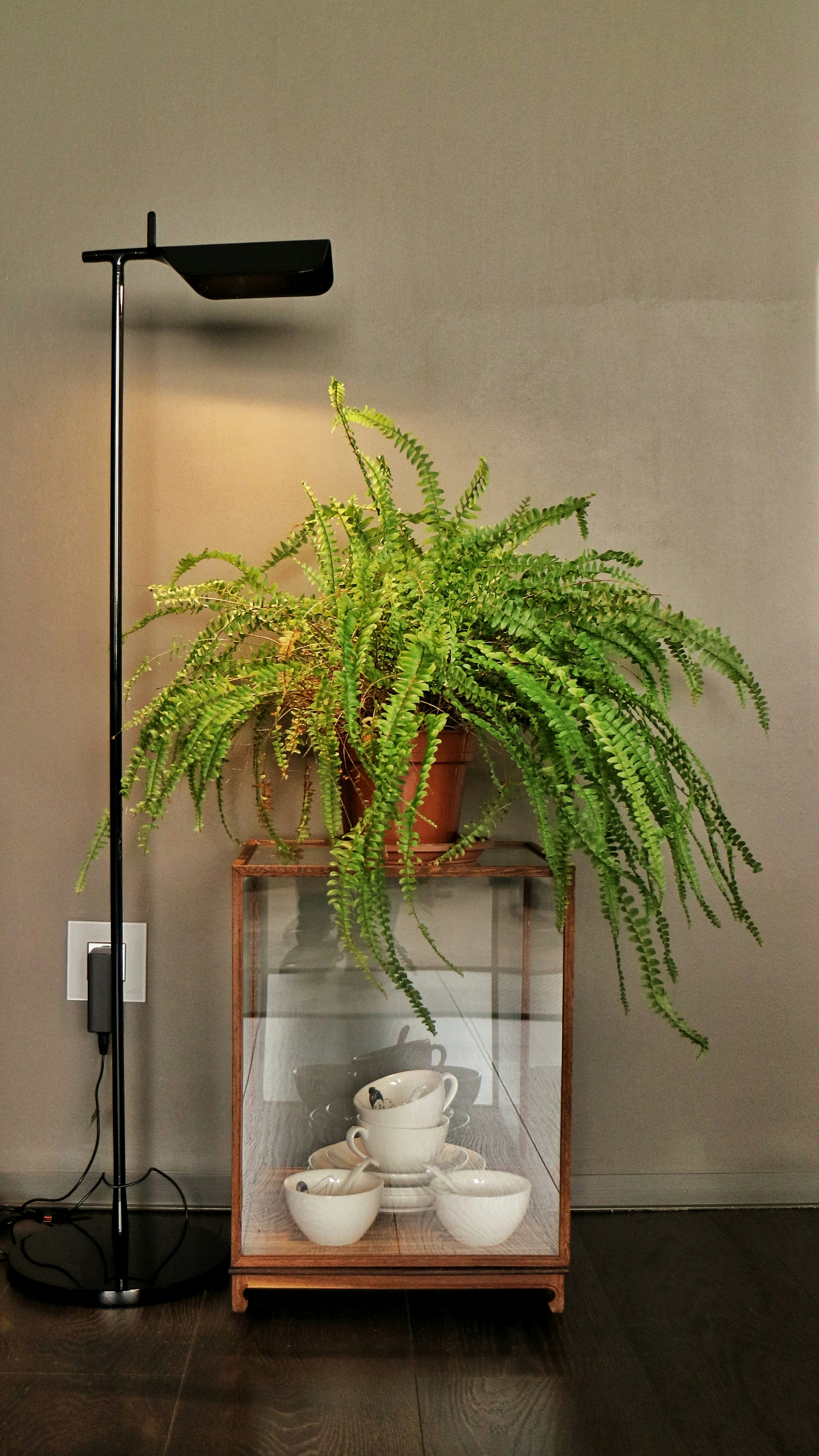 Photo by dsamatkulov