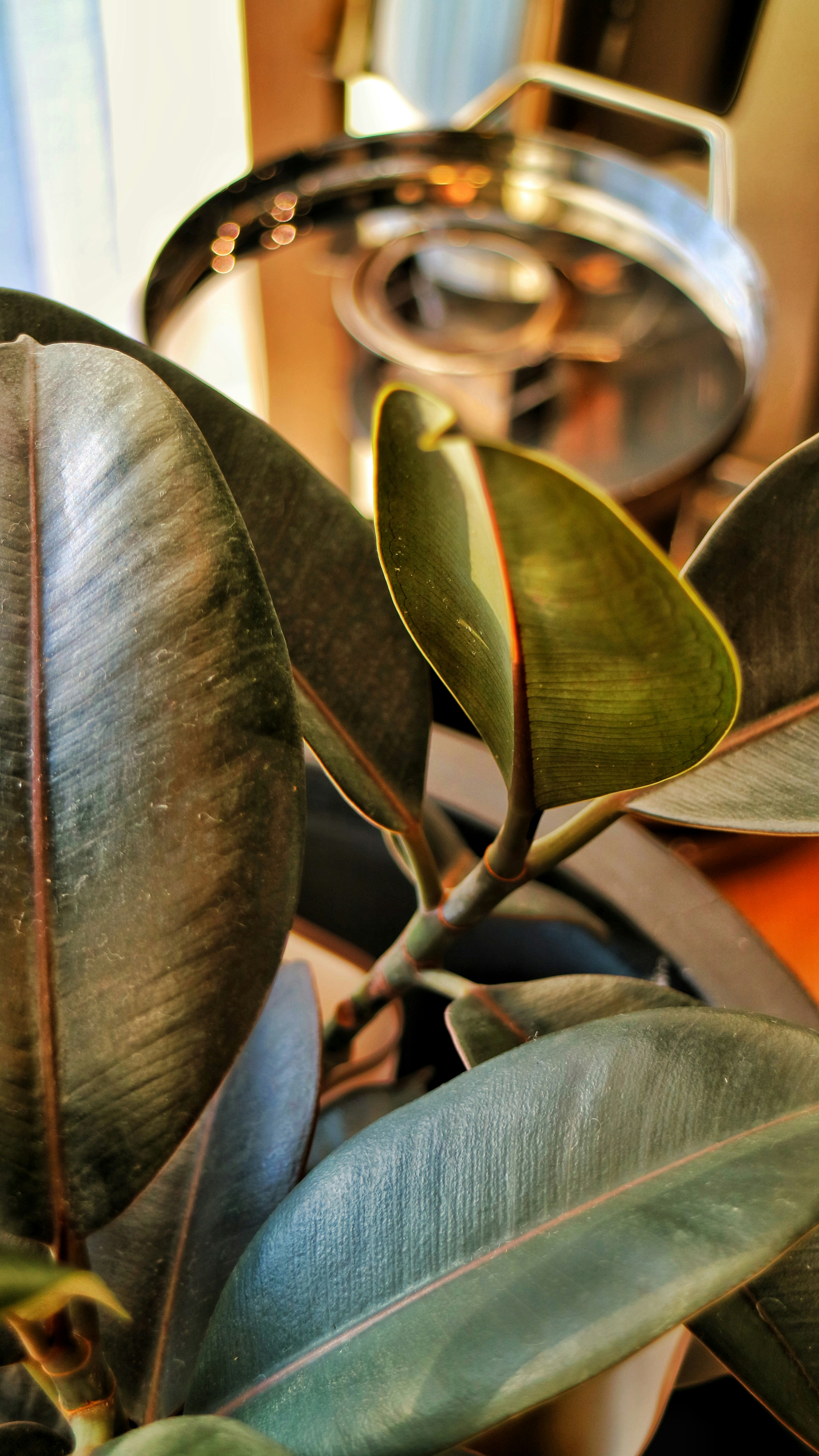 Photo by dsamatkulov