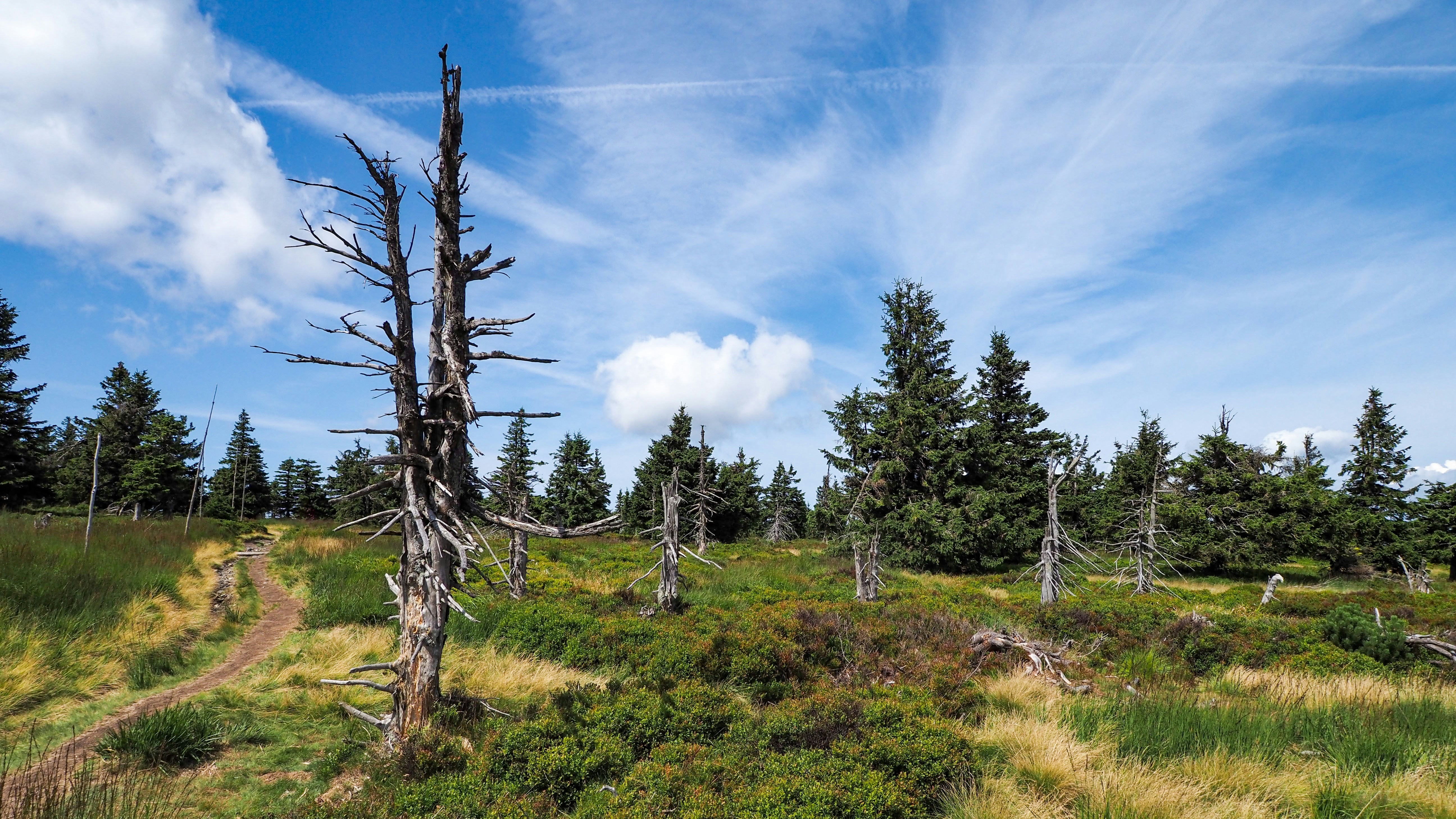 Photo by pavel_satrapa