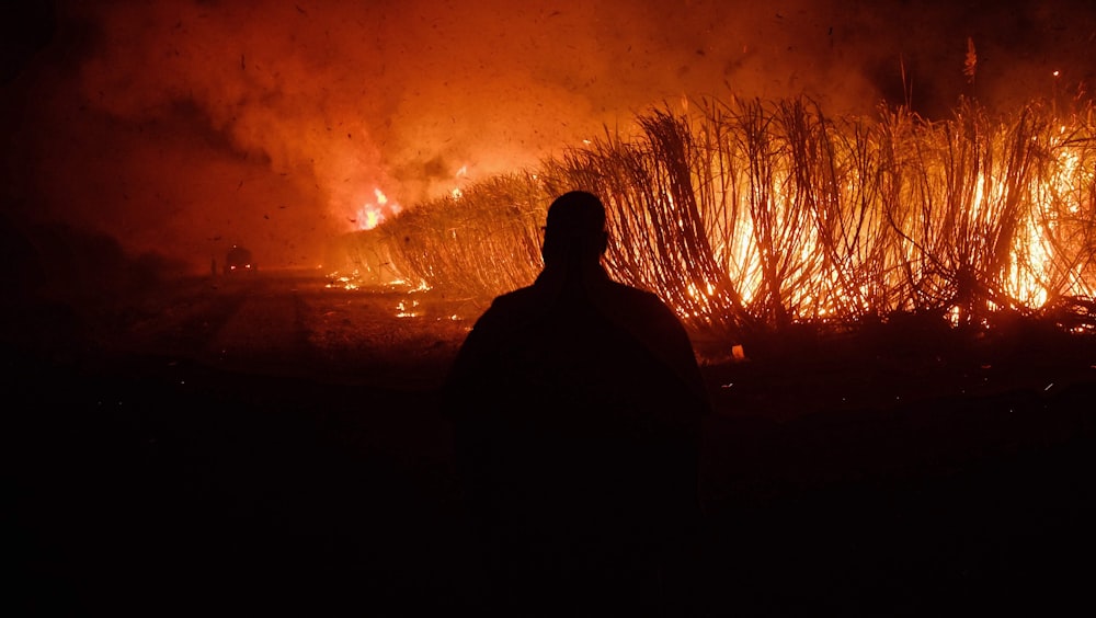 a person standing in front of a fire