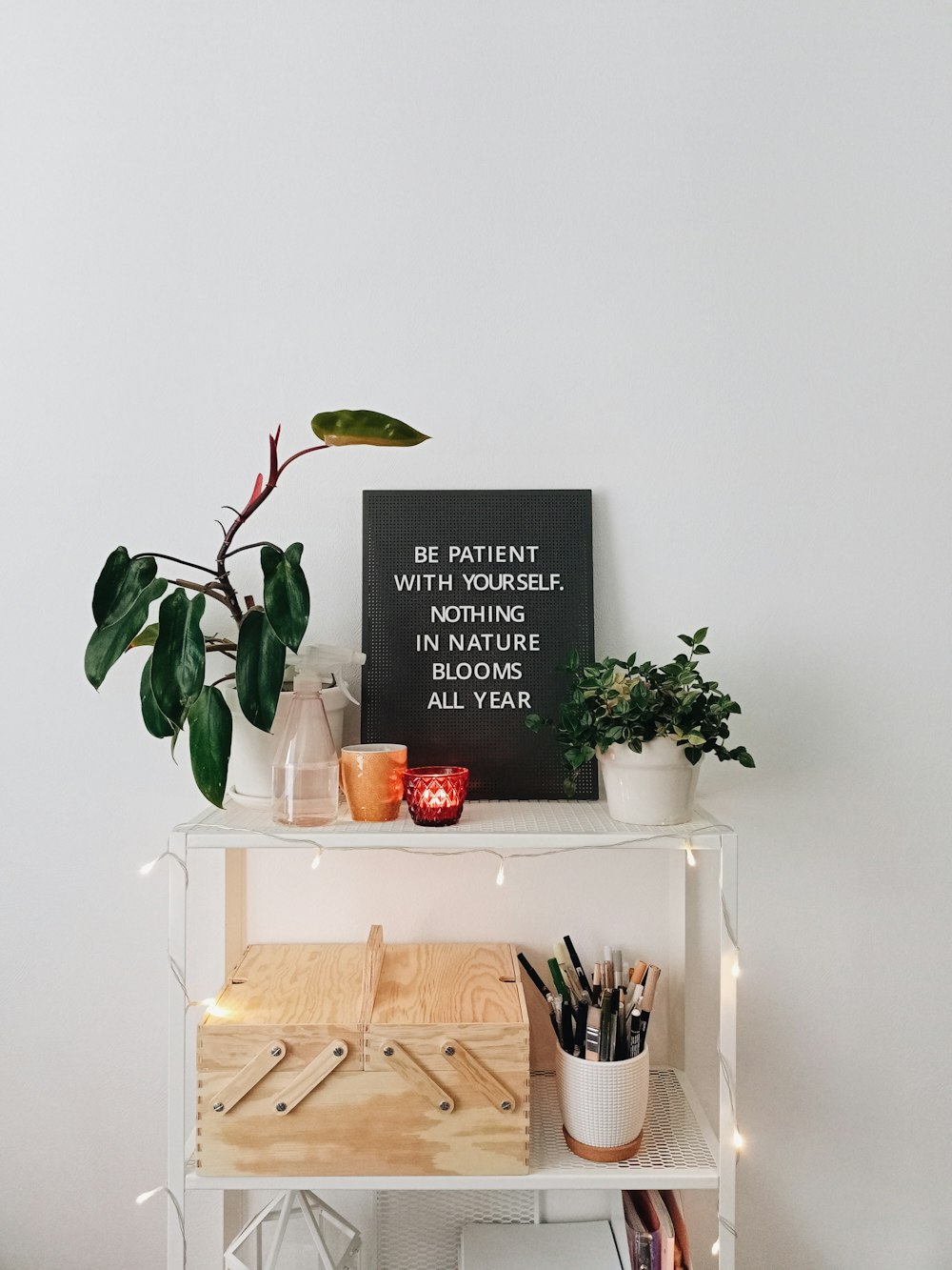 a white shelf with a plant and a sign on top of it
