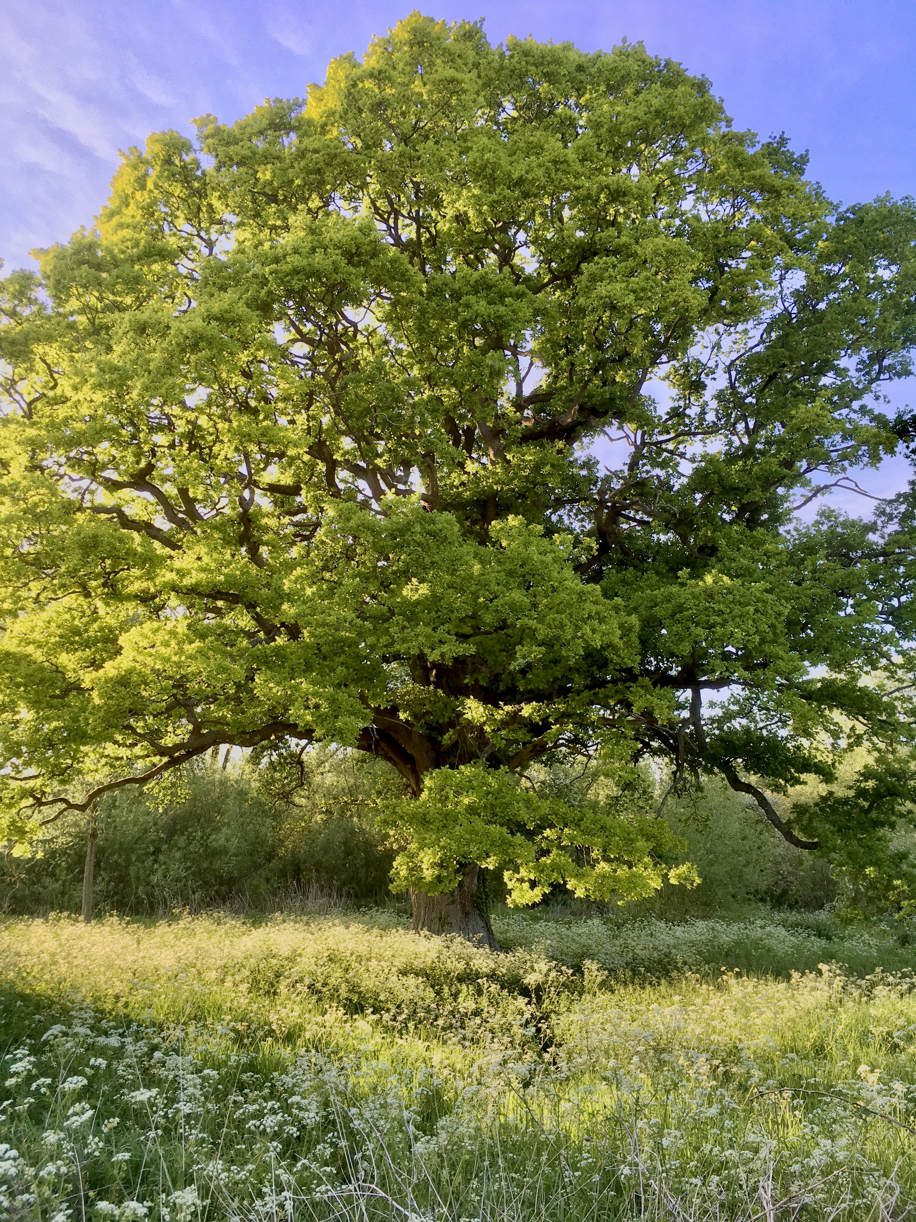 Photo by blakeludwig