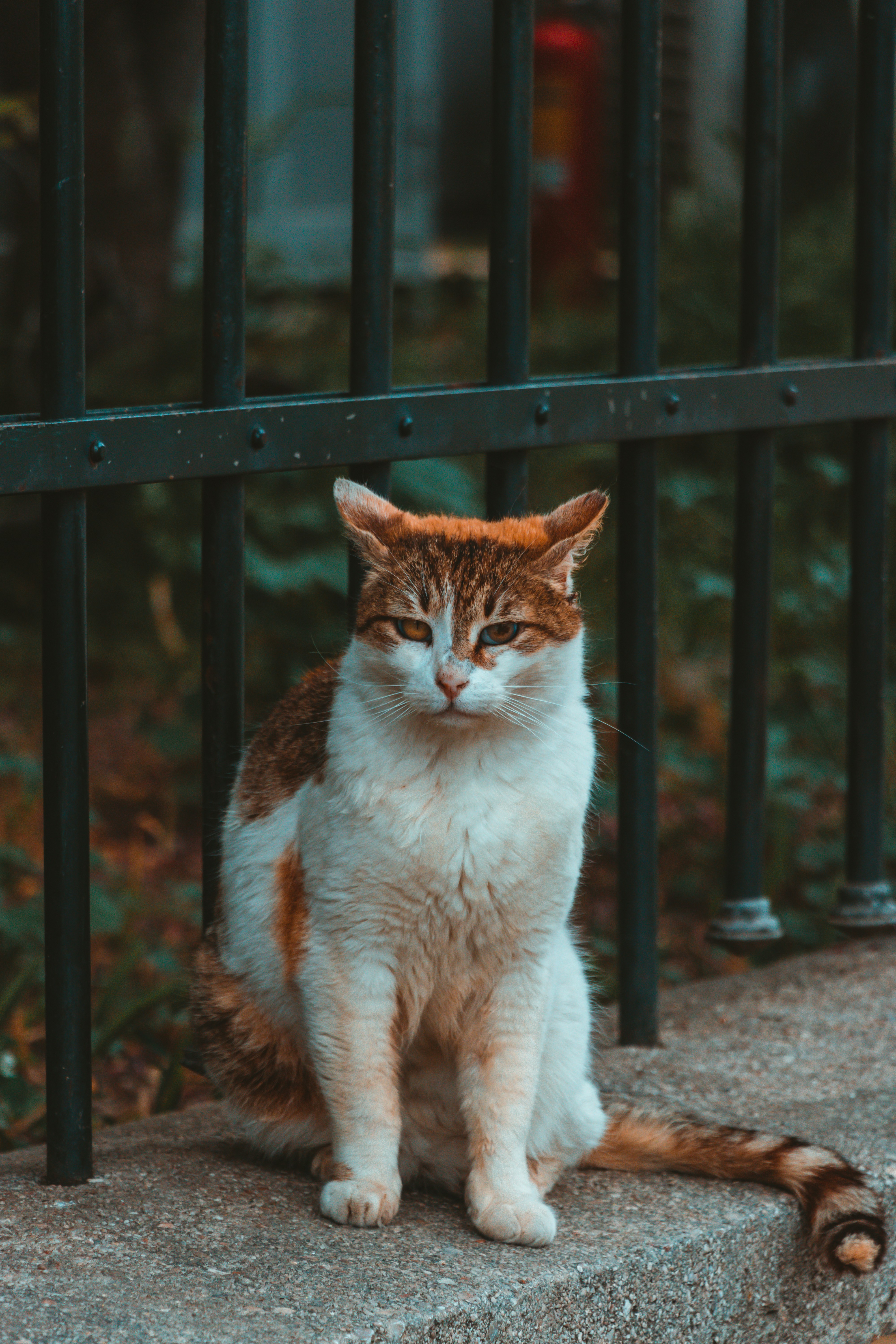 Photo by tommyvankessel