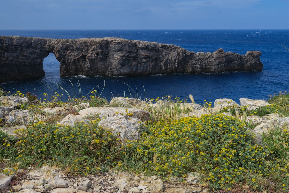 una grande formazione rocciosa vicino a uno specchio d'acqua