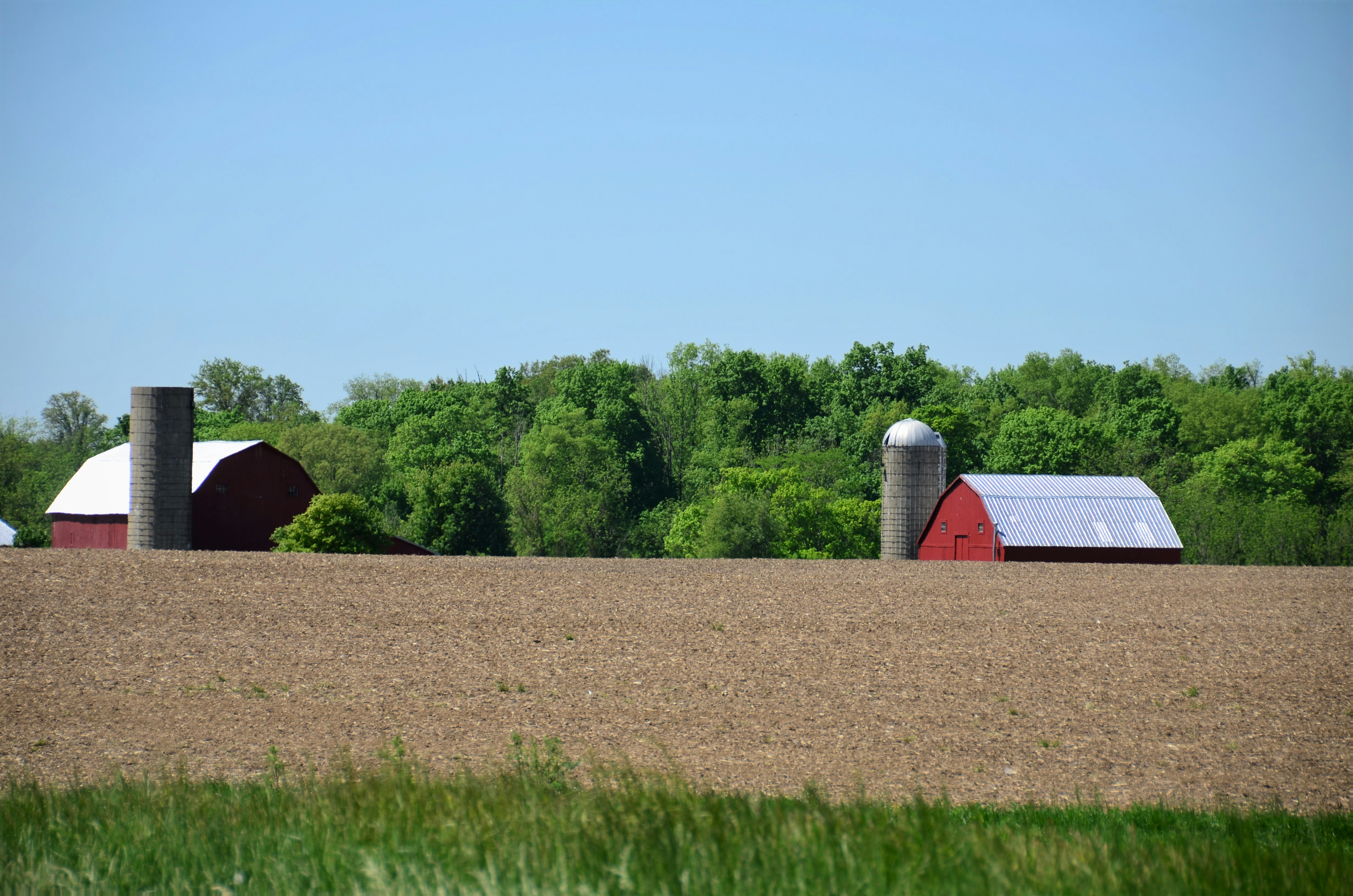 Una granja con un granero rojo y dos silos foto – Imagen de Campo de maíz  gratuita en Unsplash, image size:3000x1987