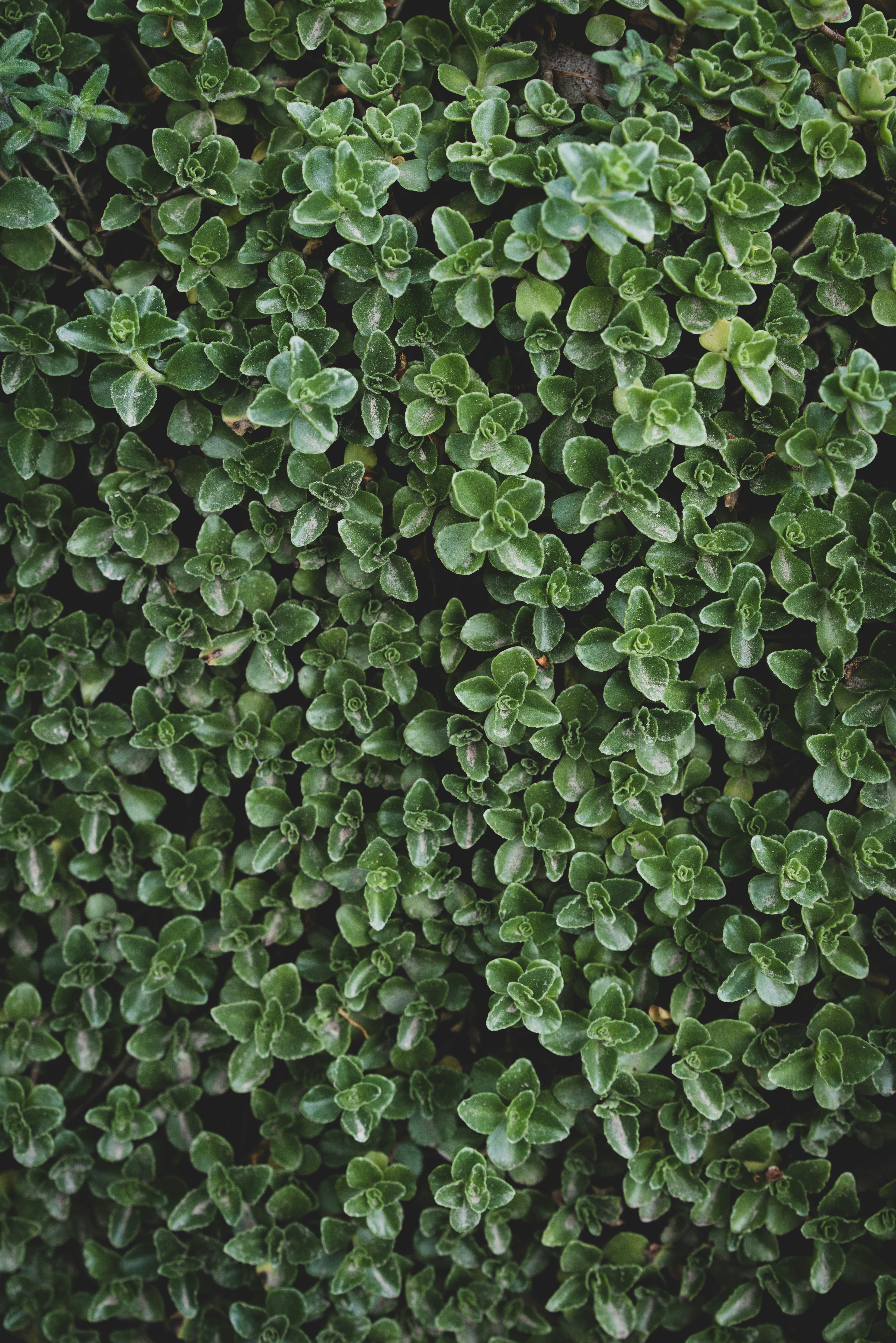 Photo by bklukaczewski