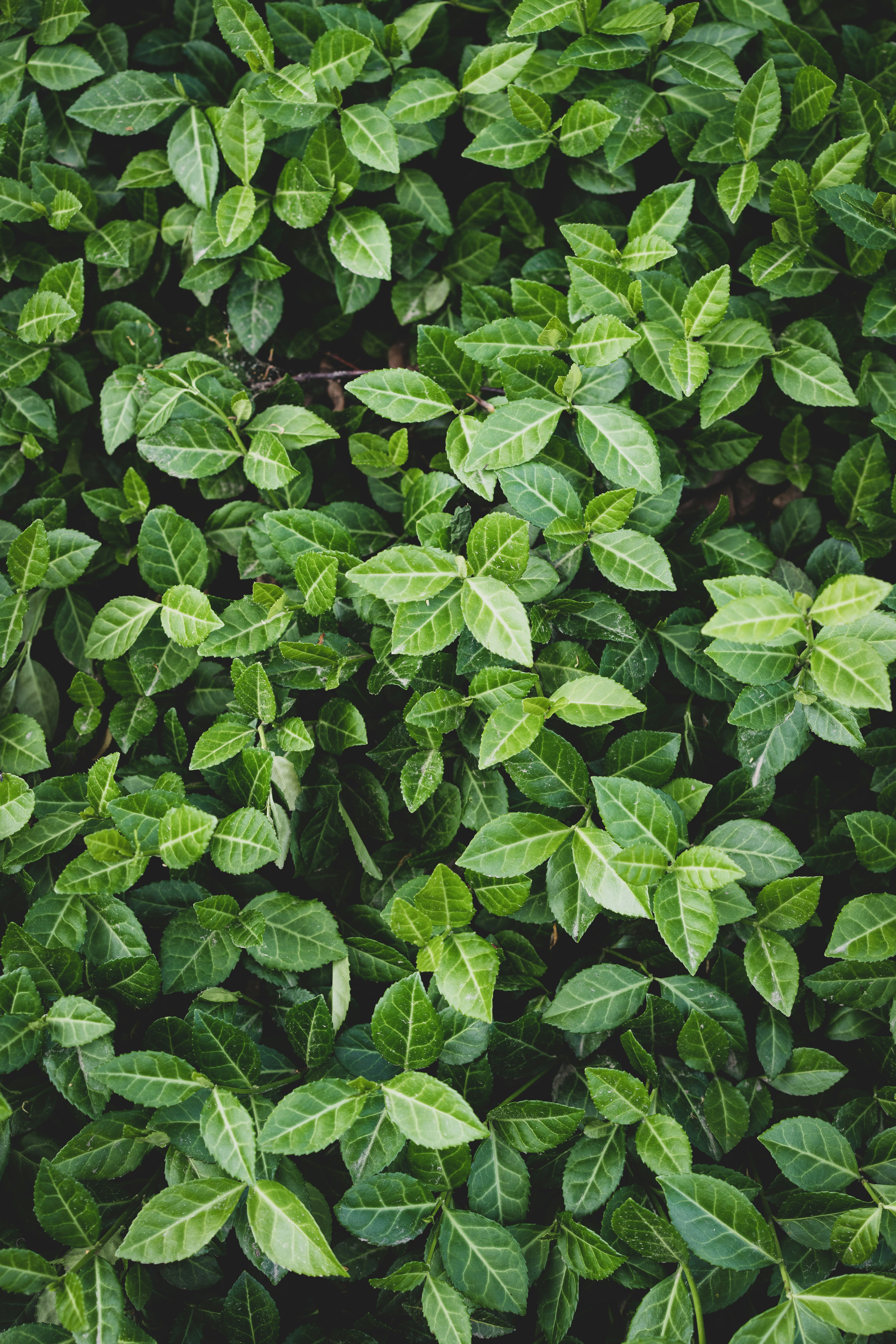 Photo by bklukaczewski