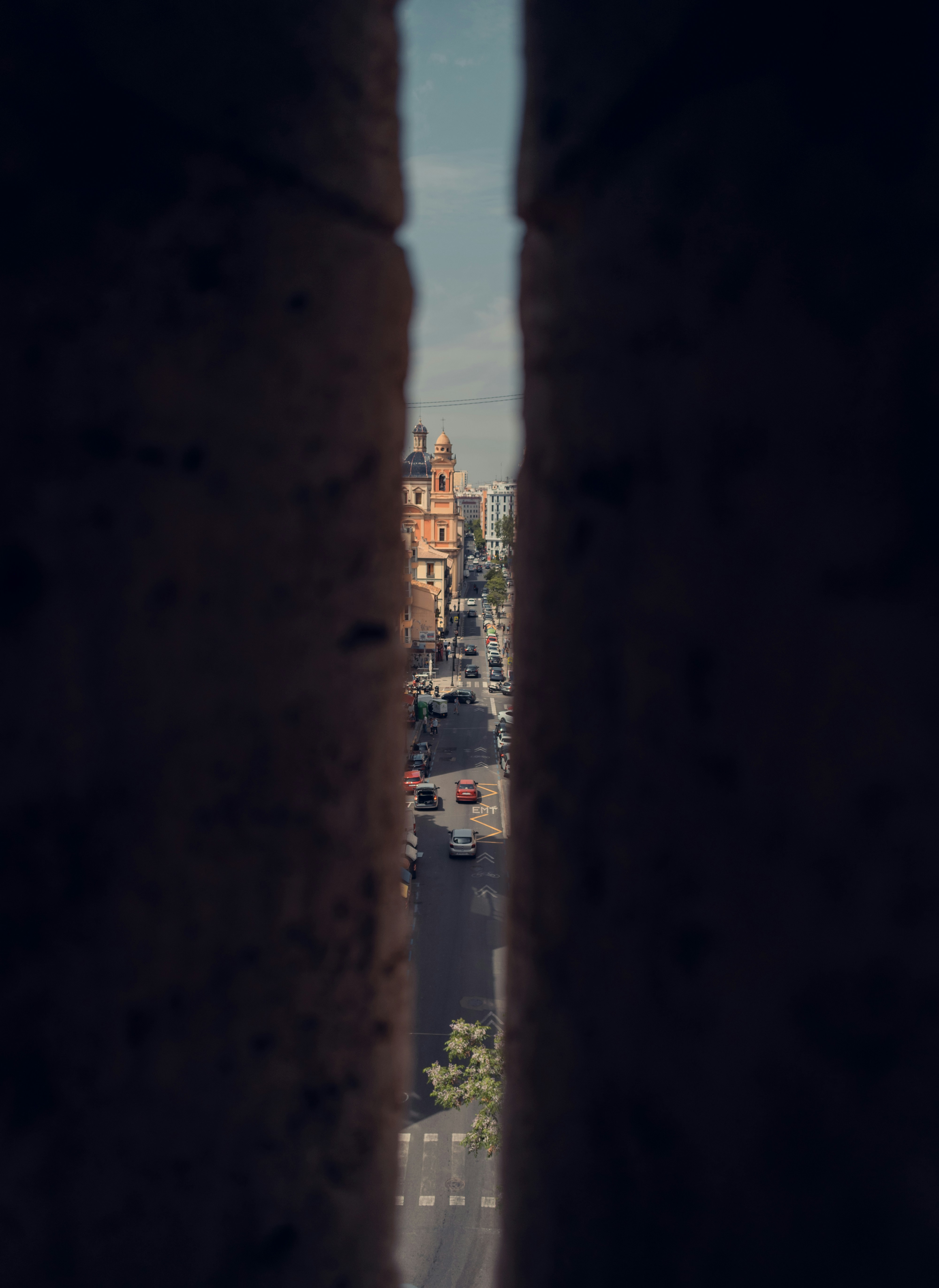 Photo by aldara_gp