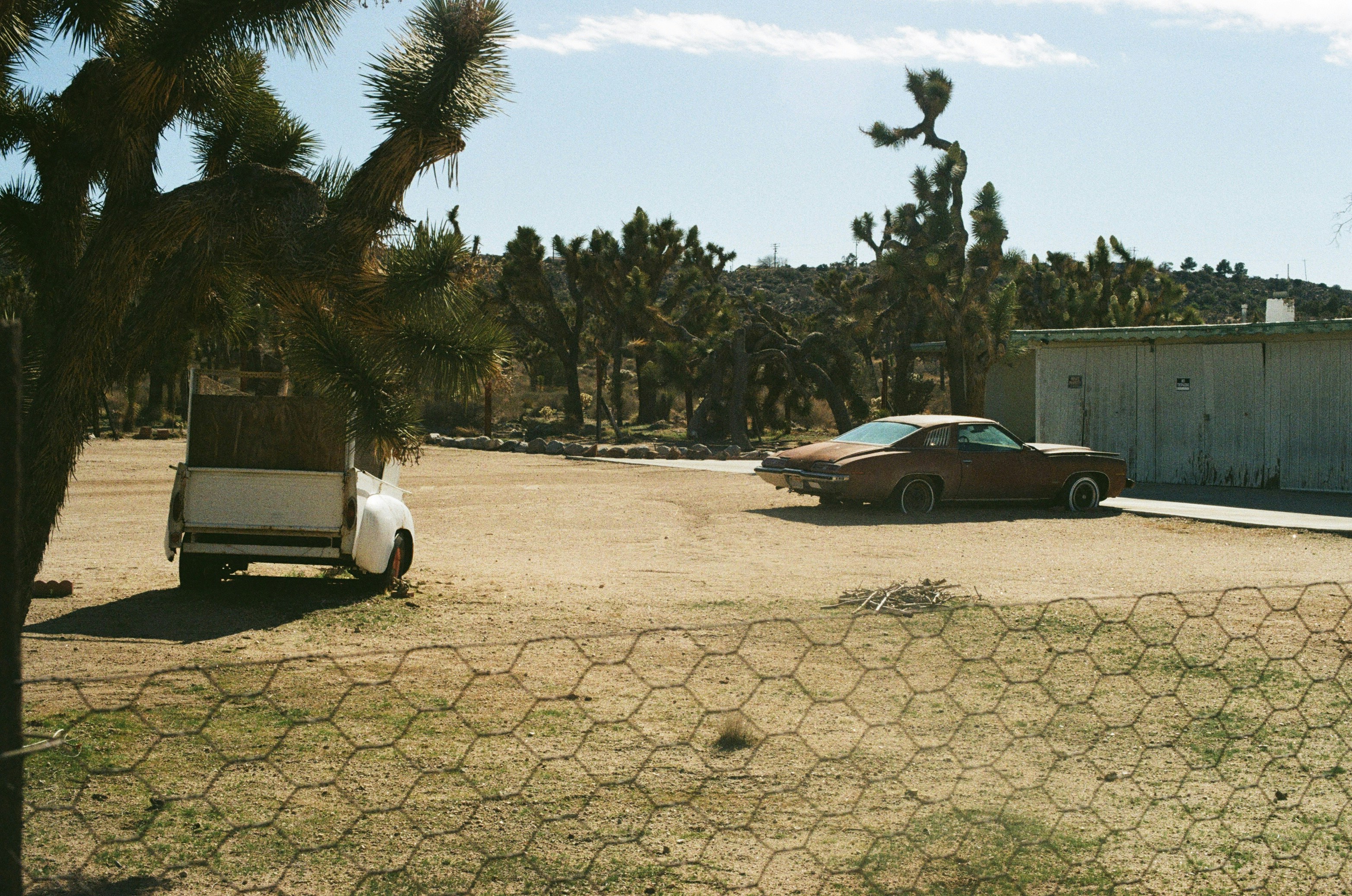 Photo by israelkmscott