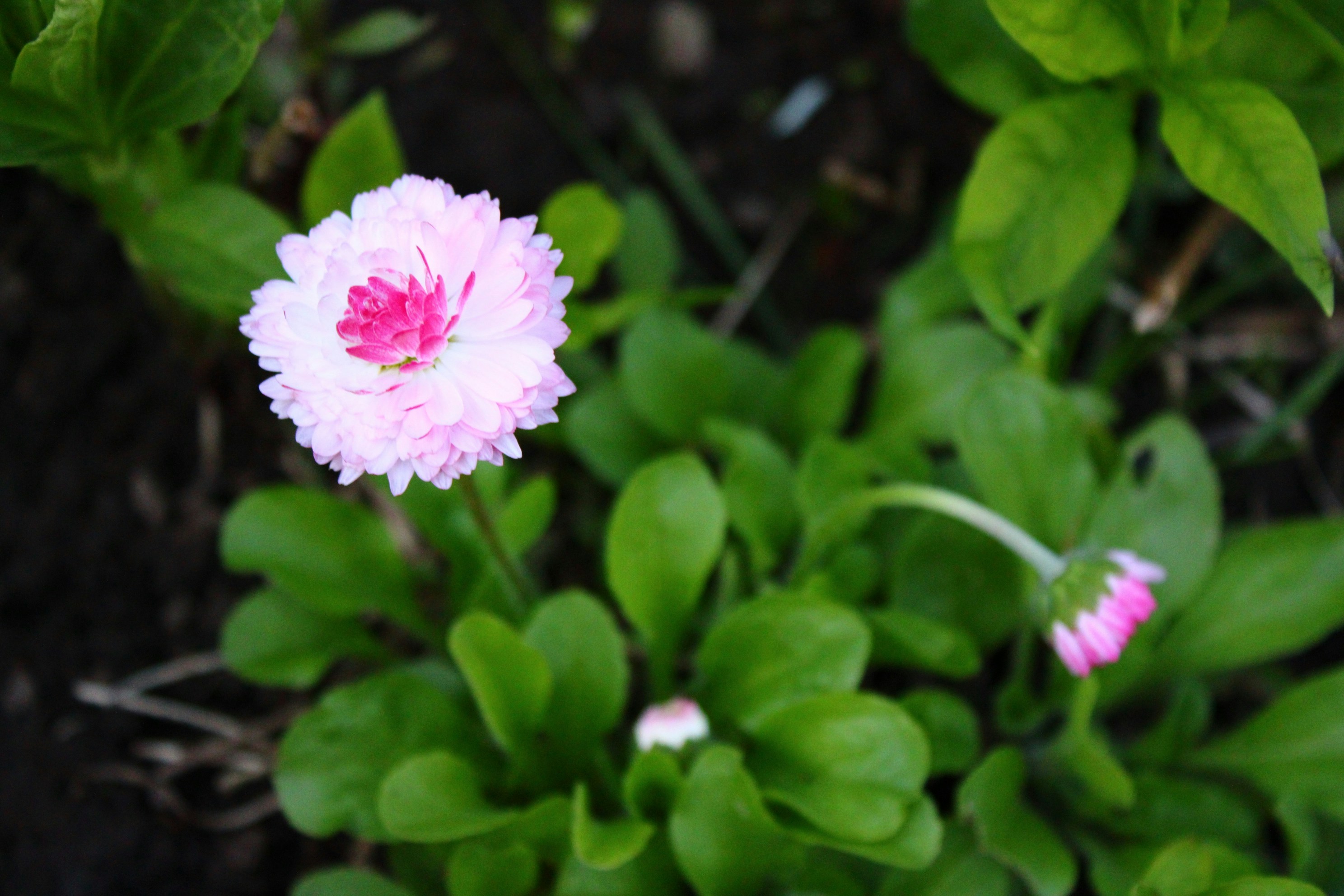 Photo by slenderamigo