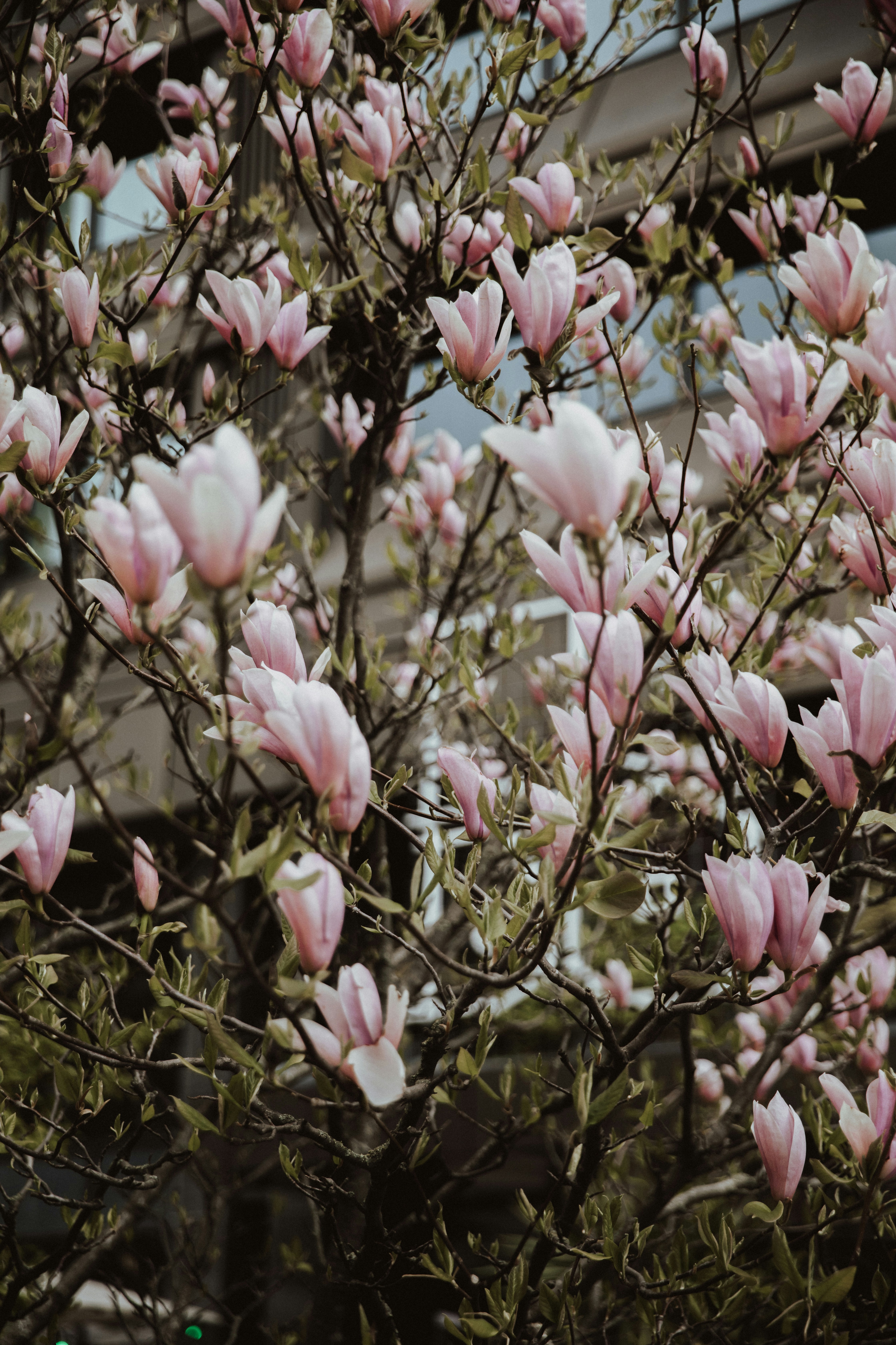 Photo by ellienelie