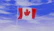A close-up of a bright shirt featuring a Canadian beaver with a hockey stick and army helmet, set against a waving Canadian flag.