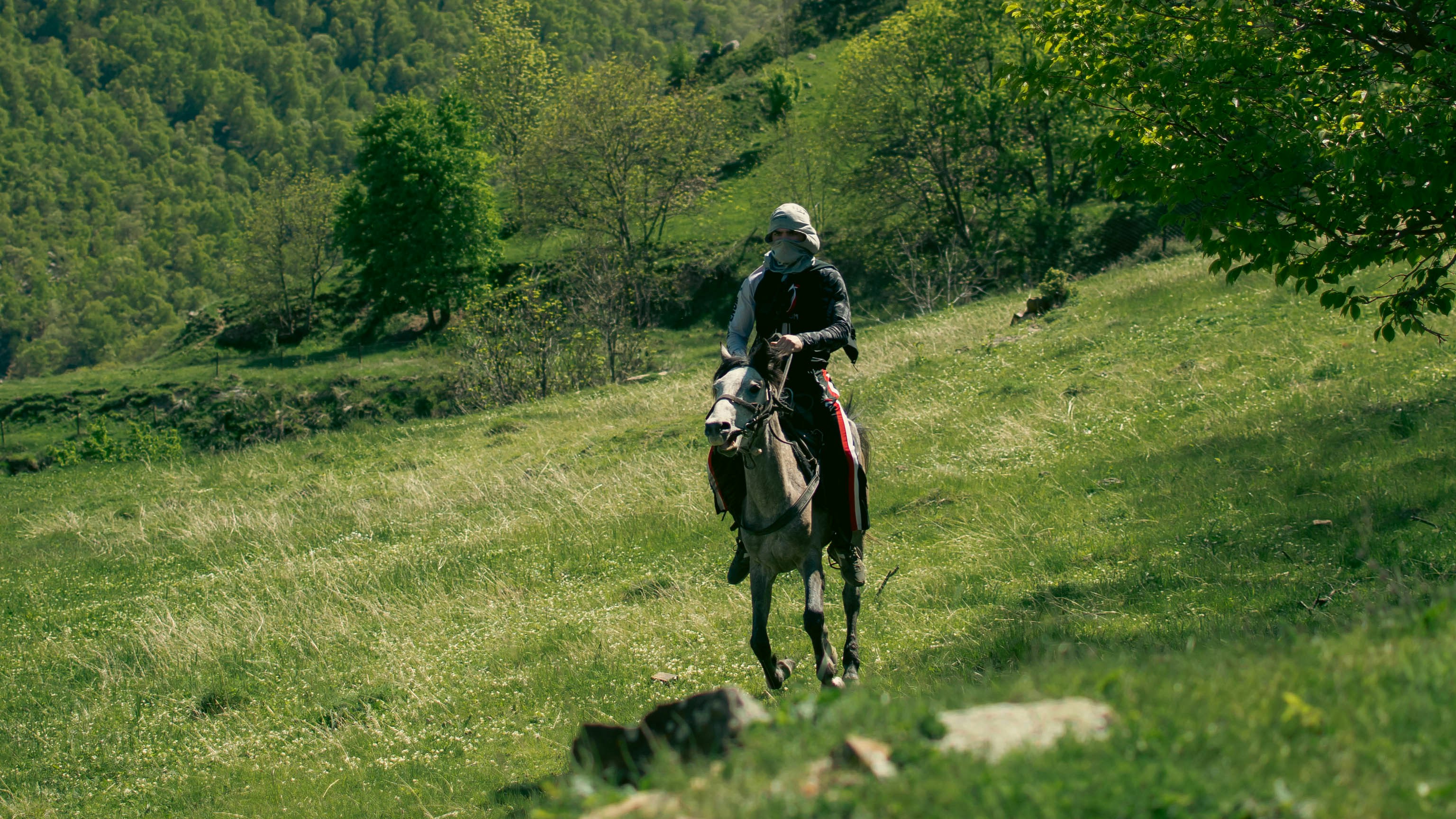 a man riding on the back of a brown horse, 