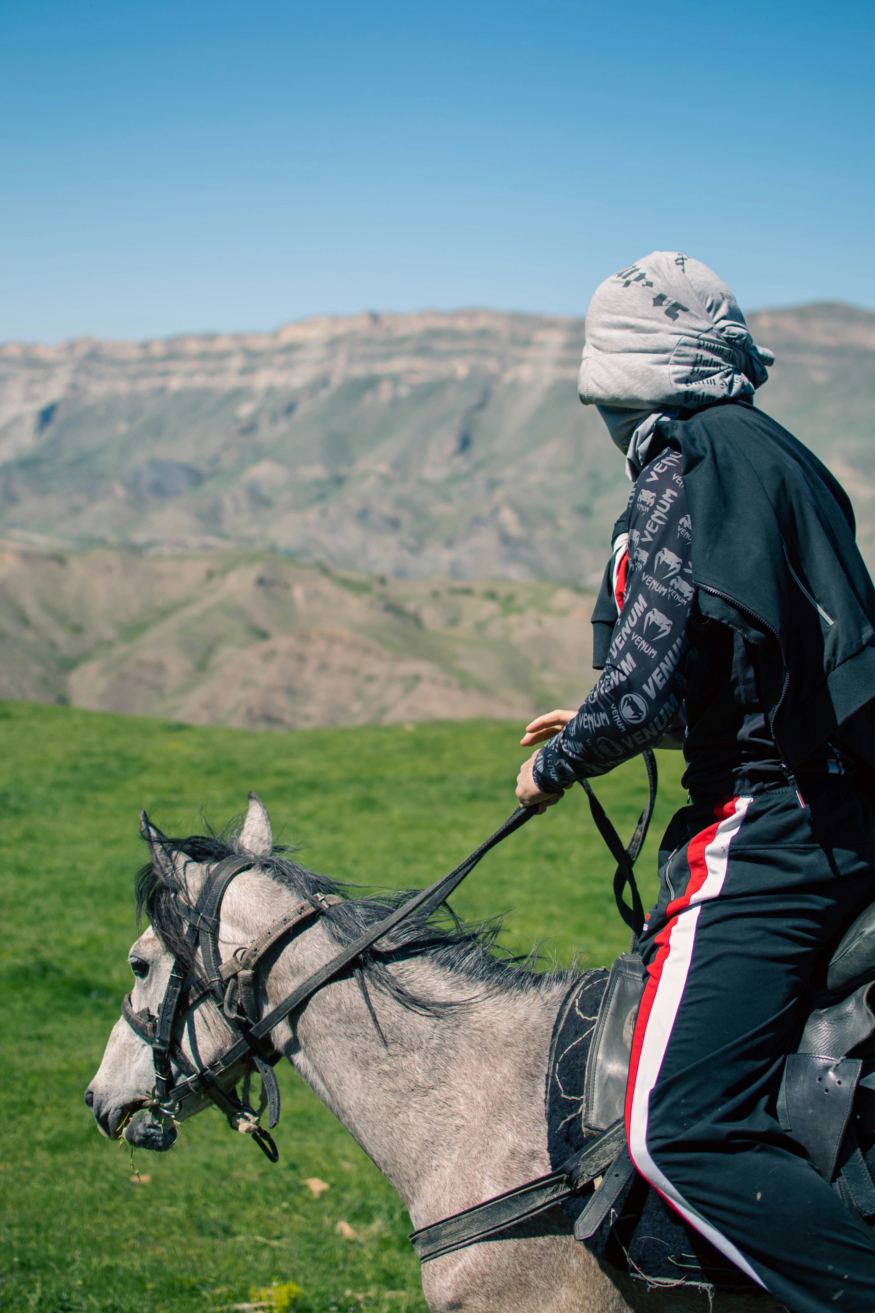 uma pessoa montada nas costas de um cavalo