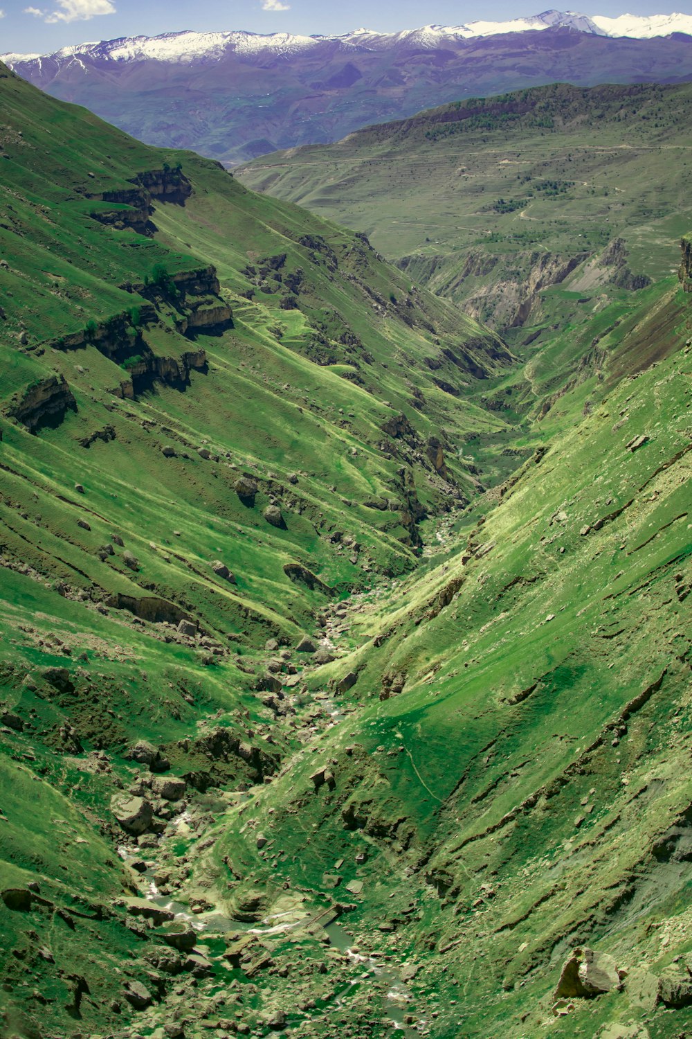 a valley with a stream running through it