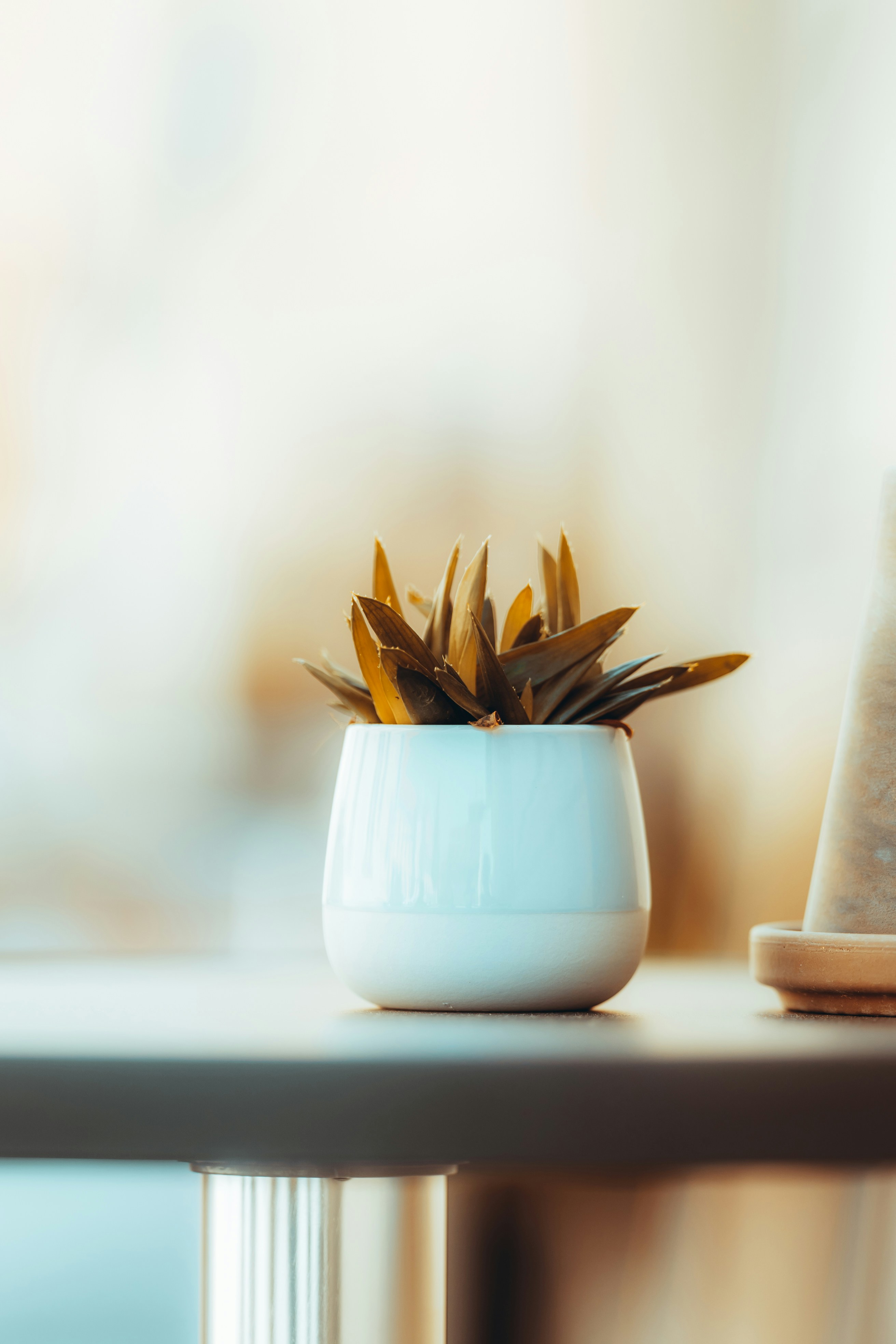 Photo by omarvellous14