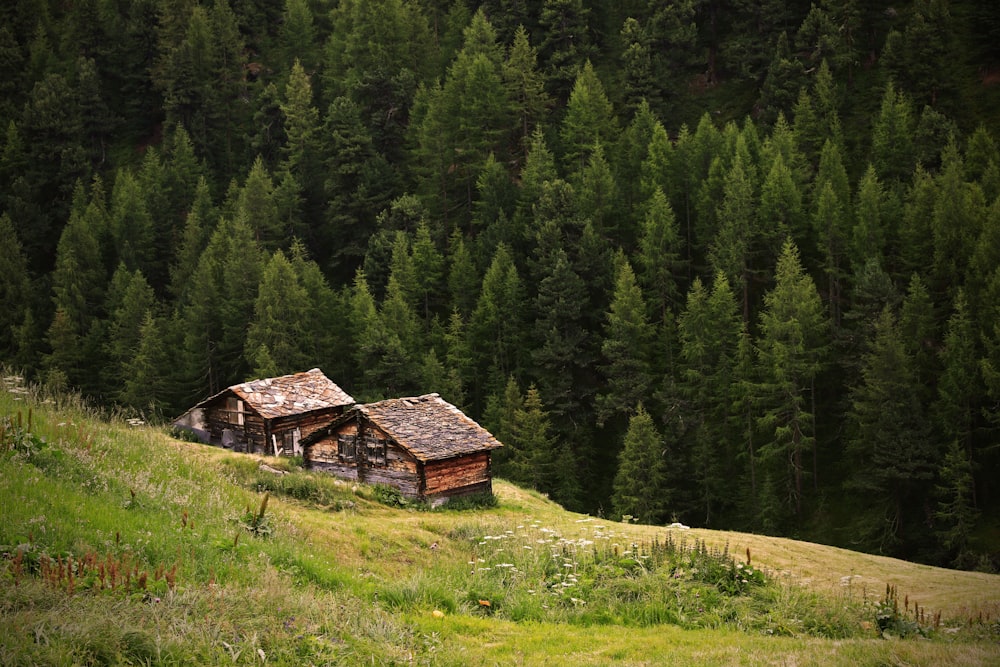 an old cabin in the middle of a forest