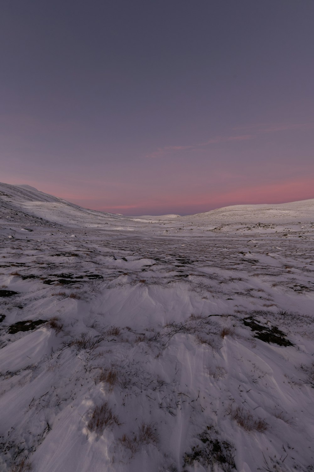 a snow covered field with a pink sky in the background