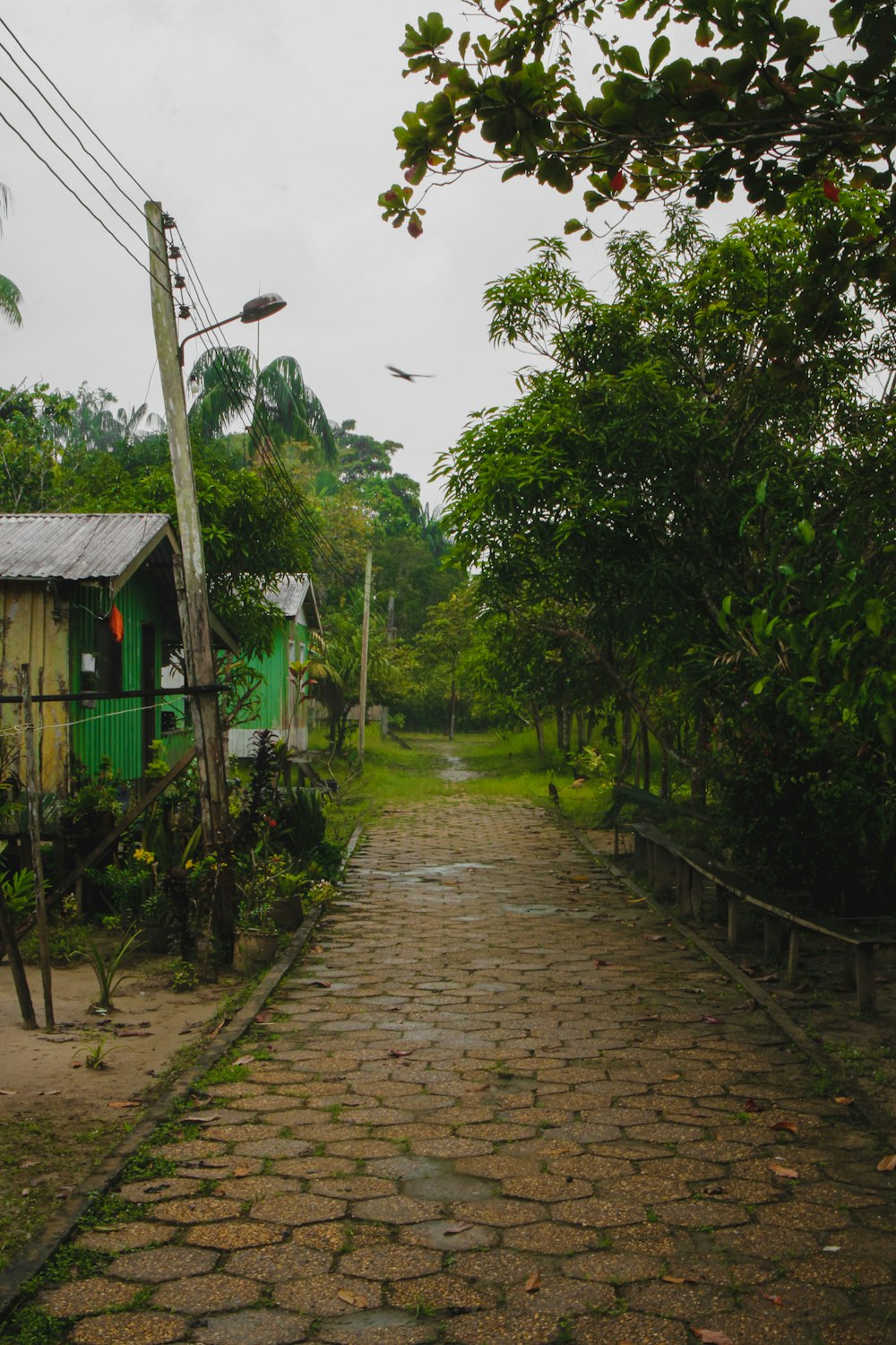 uma estrada de paralelepípedos que leva a uma casa verde