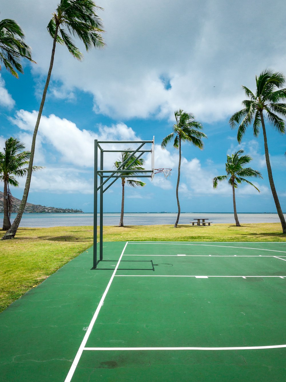 a tennis court with a basketball hoop and palm trees