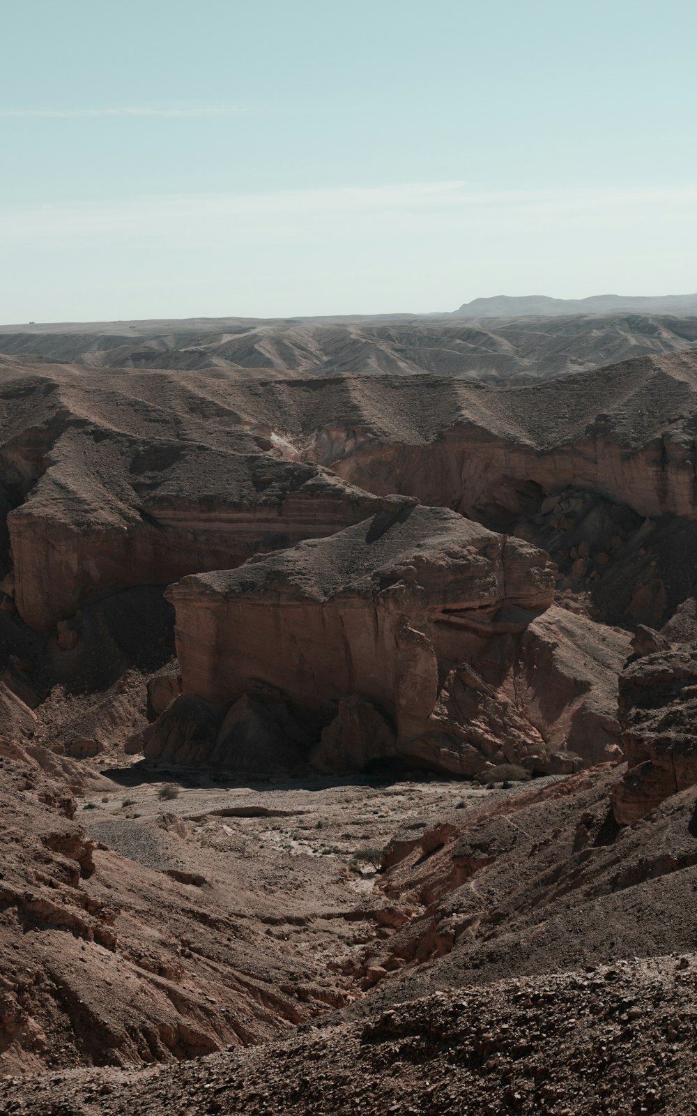 Una vista de un paisaje rocoso con montañas al fondo