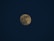 A full moon is prominently centered against a deep, dark blue night sky. The moon's surface details are visible, showing its craters and lunar patterns.