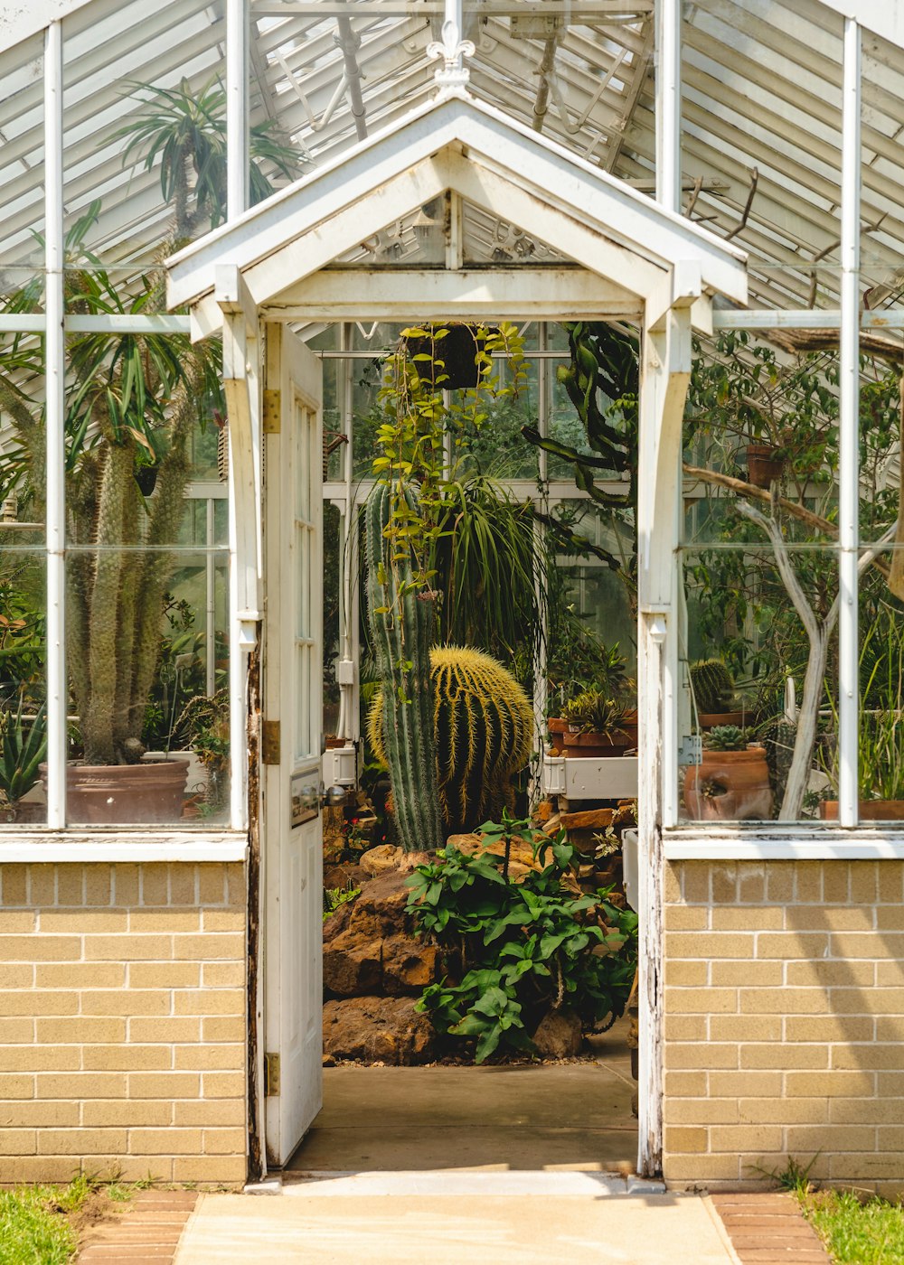 una casa con un tetto di vetro e un cactus in esso