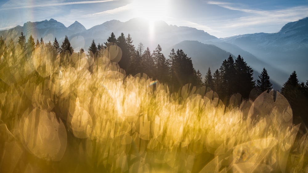 the sun shines brightly over a mountain range