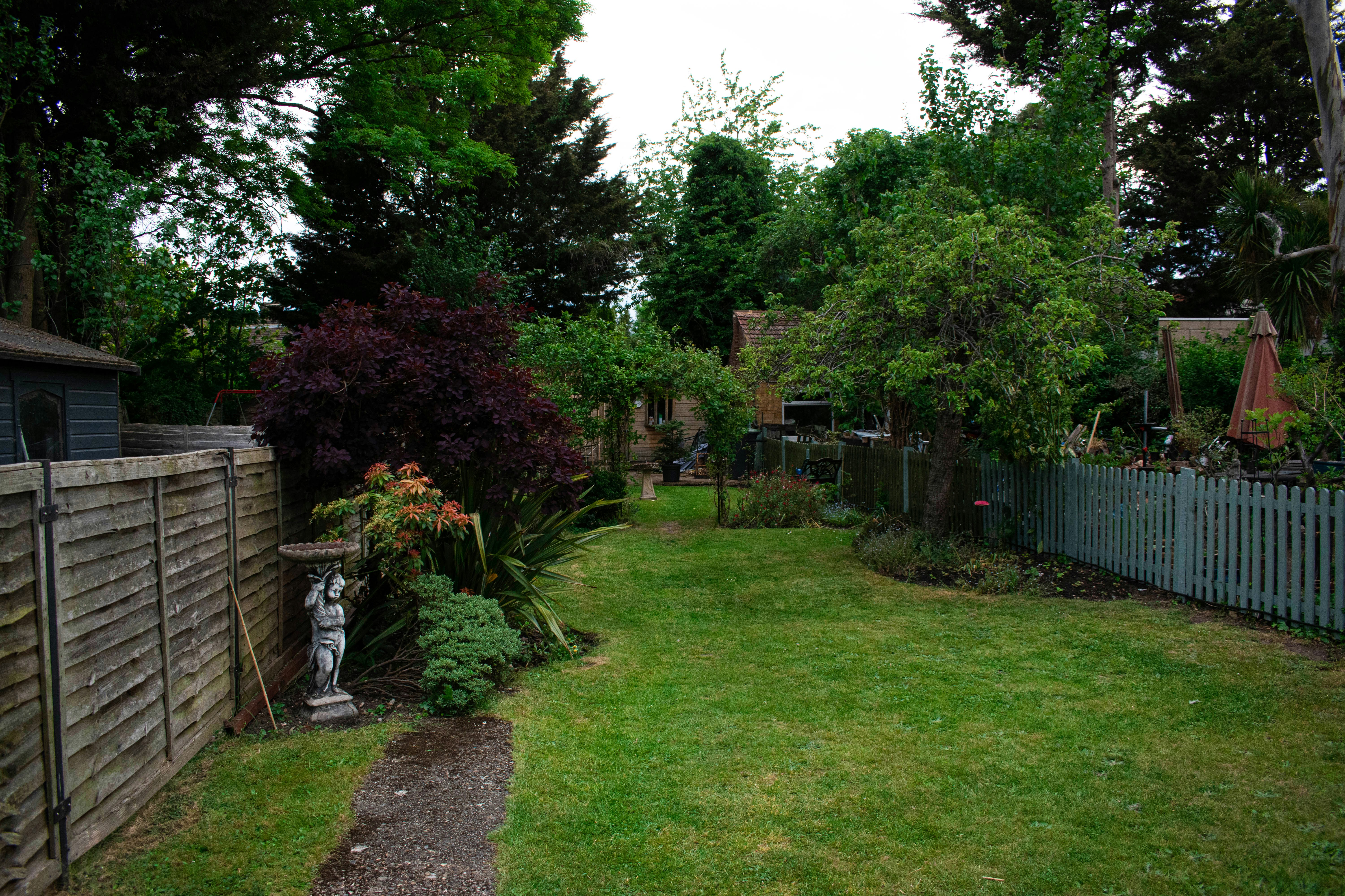 a yard with a fence and a small garden
