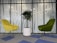 A modern office space featuring two upholstered chairs, one yellow and one green, positioned on opposite sides of a potted plant with a twisted trunk in a white planter. The background consists of frosted glass paneling with abstract vertical patterns, and the floor is carpeted with blue and gray tiles.